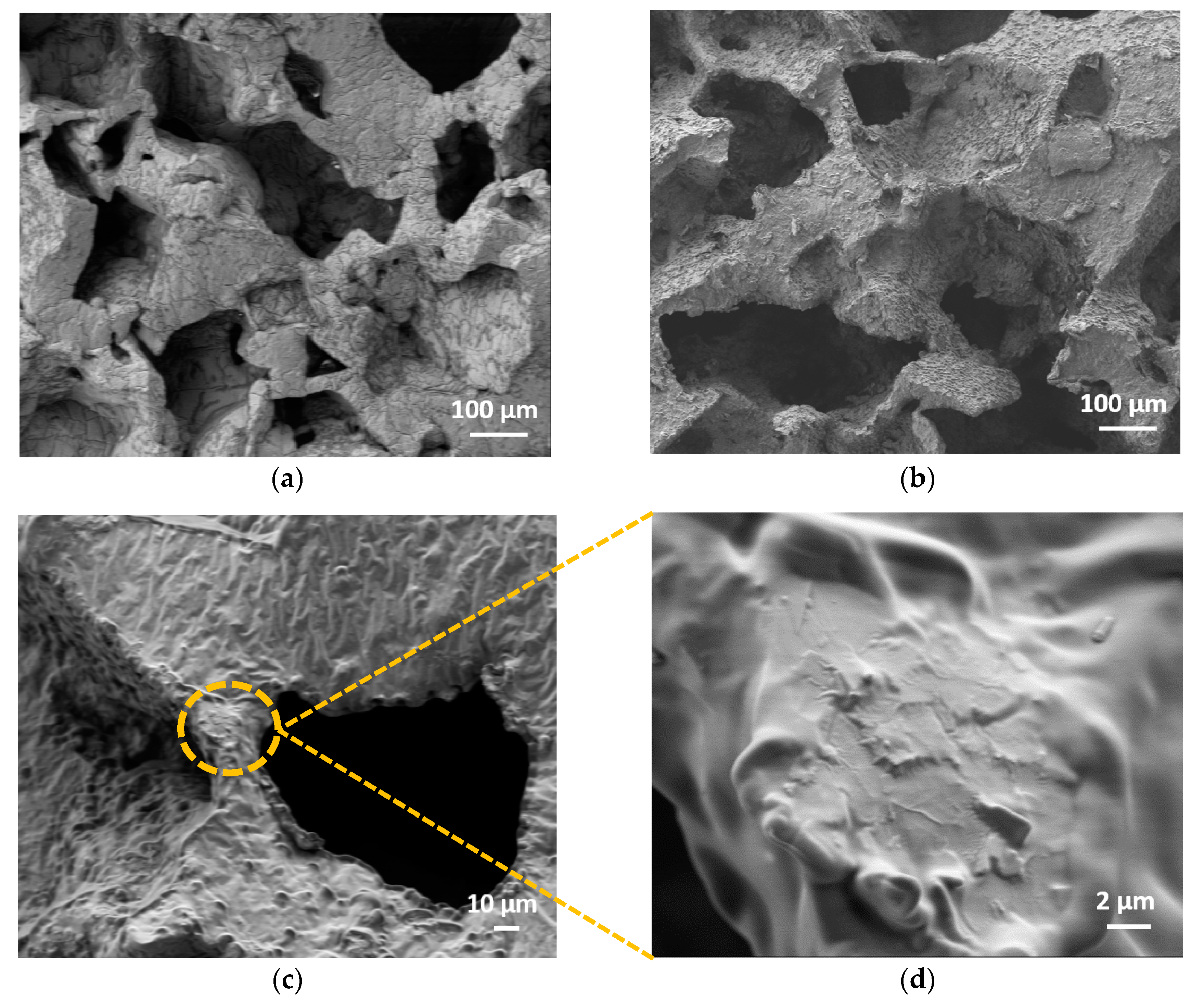 Sensors 20 04406 g004