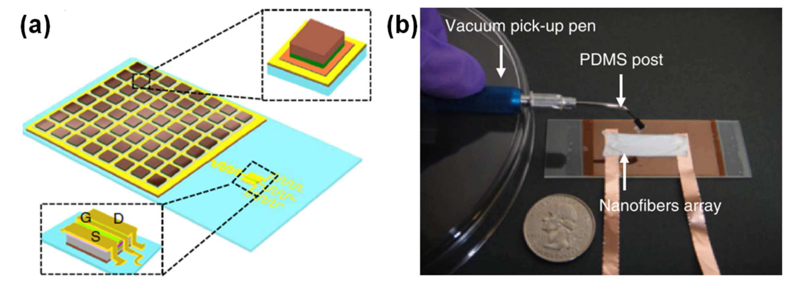 Sensors 20 04407 g005 Sensors 20 04407 g005