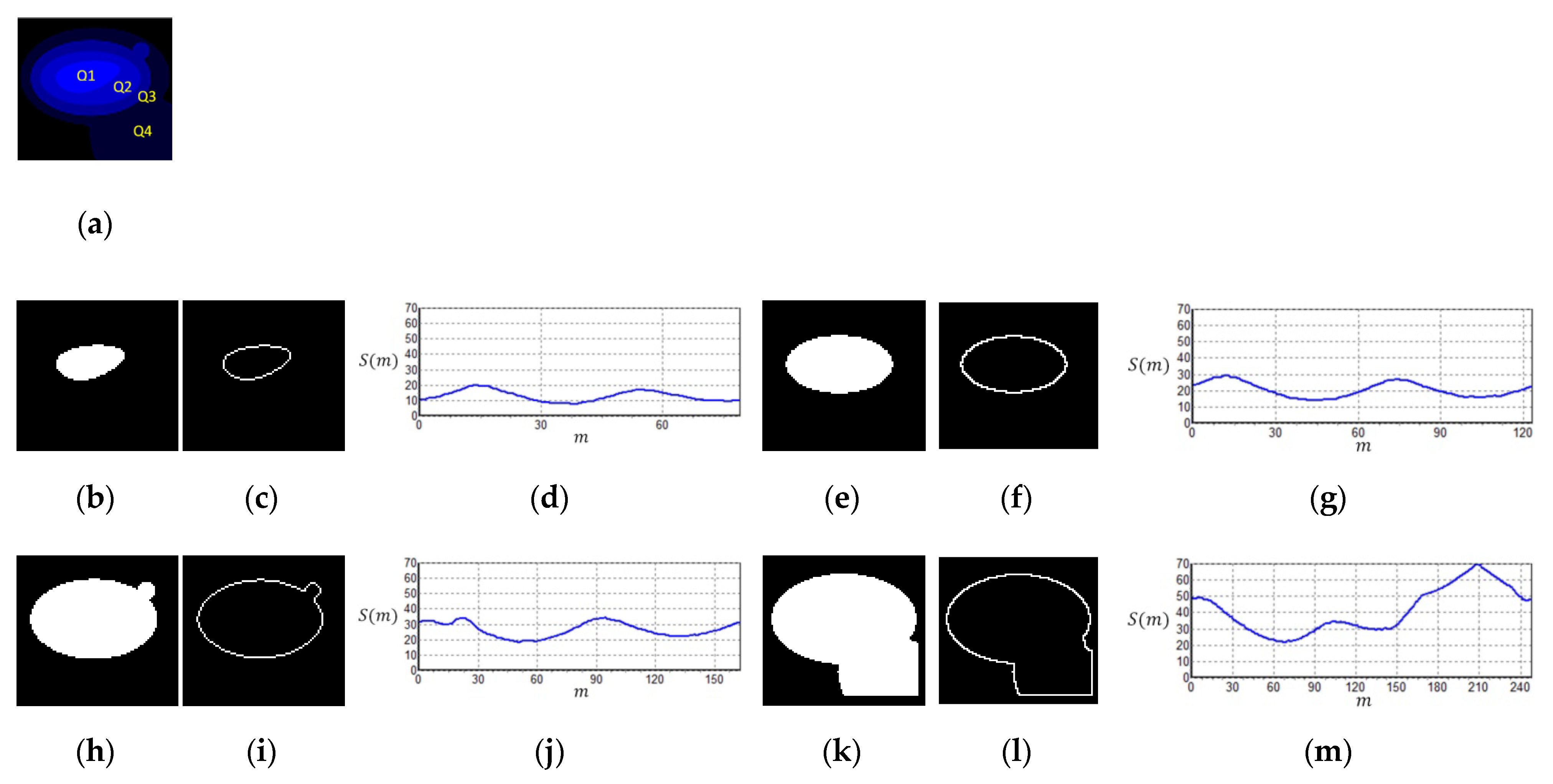Sensors 20 04409 g005
