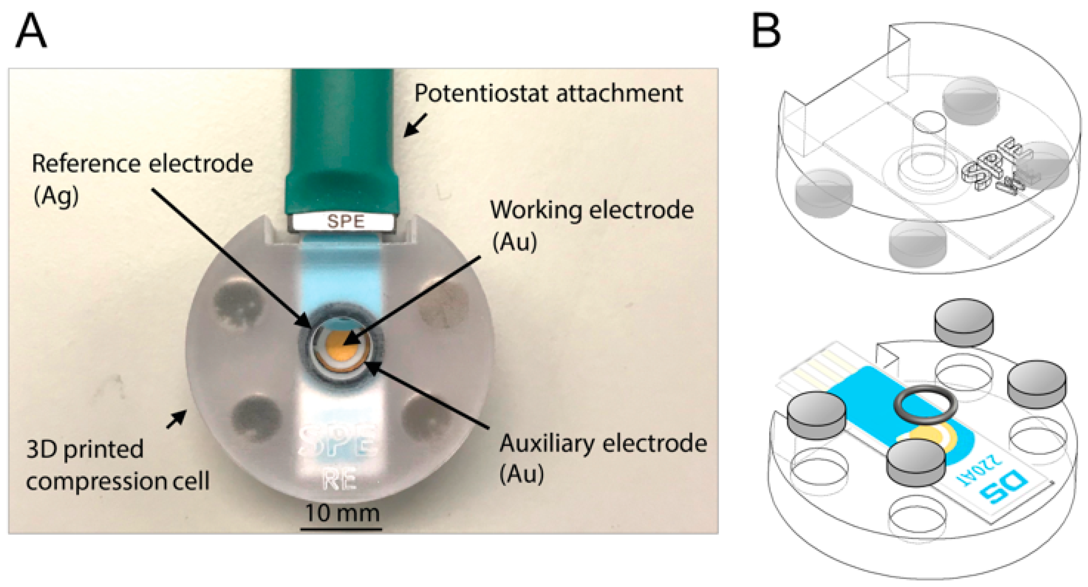 Sensors 20 04421 g002