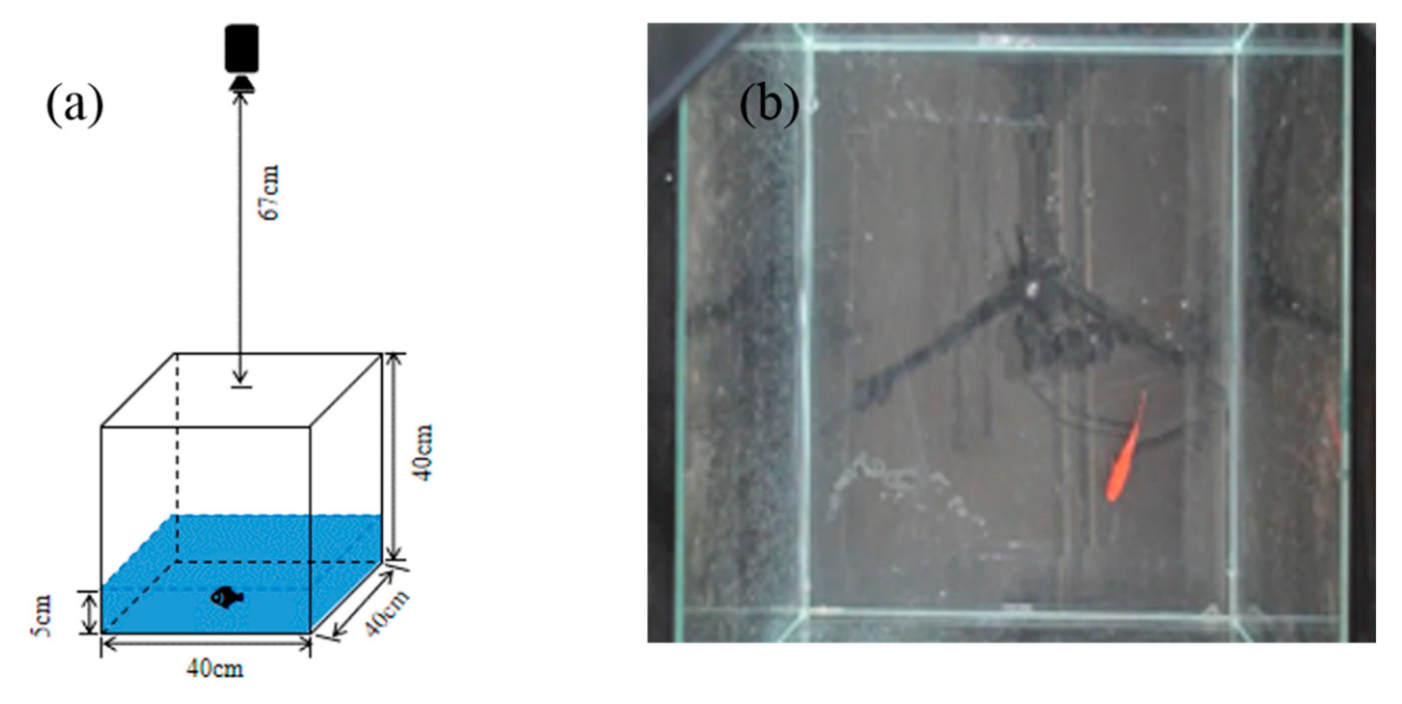 Sensors 20 04425 g001