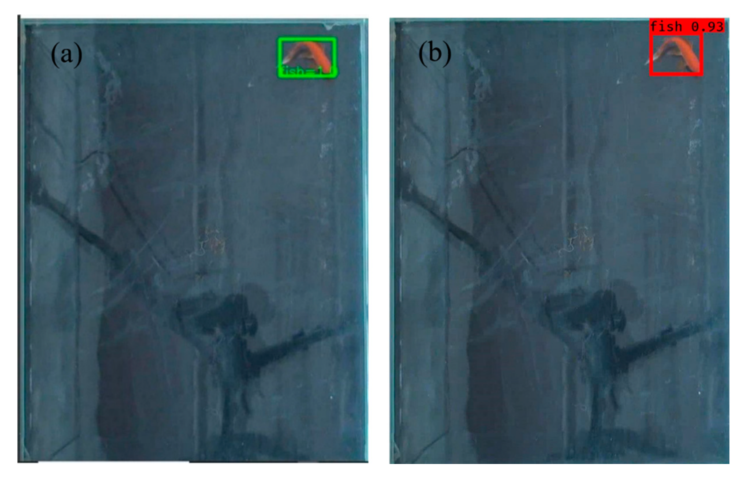 Sensors 20 04425 g003