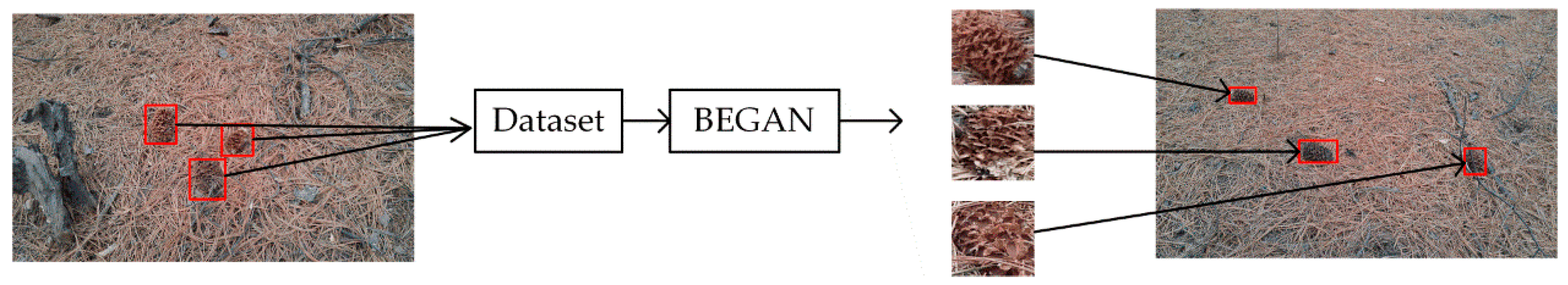 Sensors 20 04430 g013