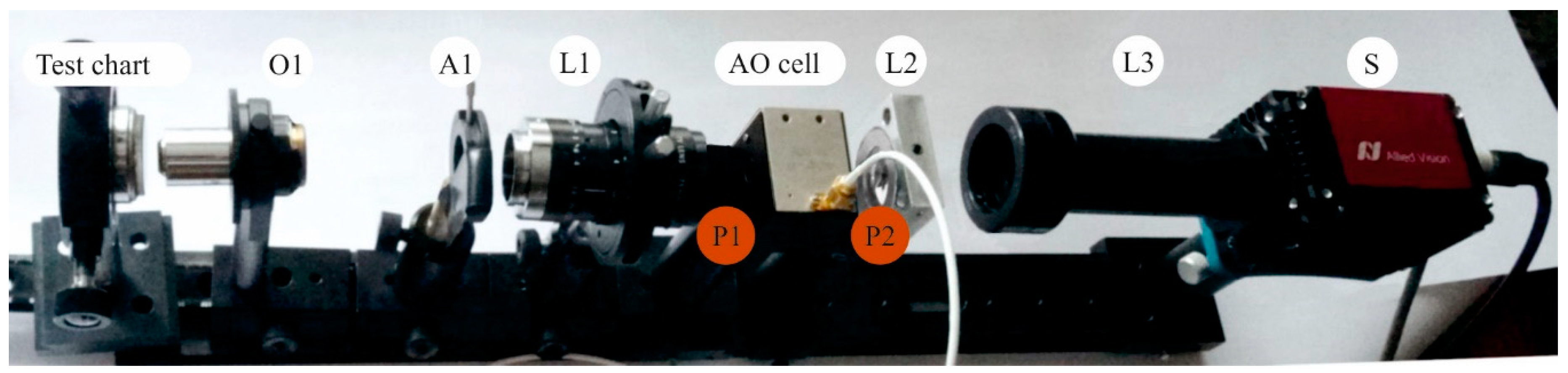 Sensors 20 04439 g006