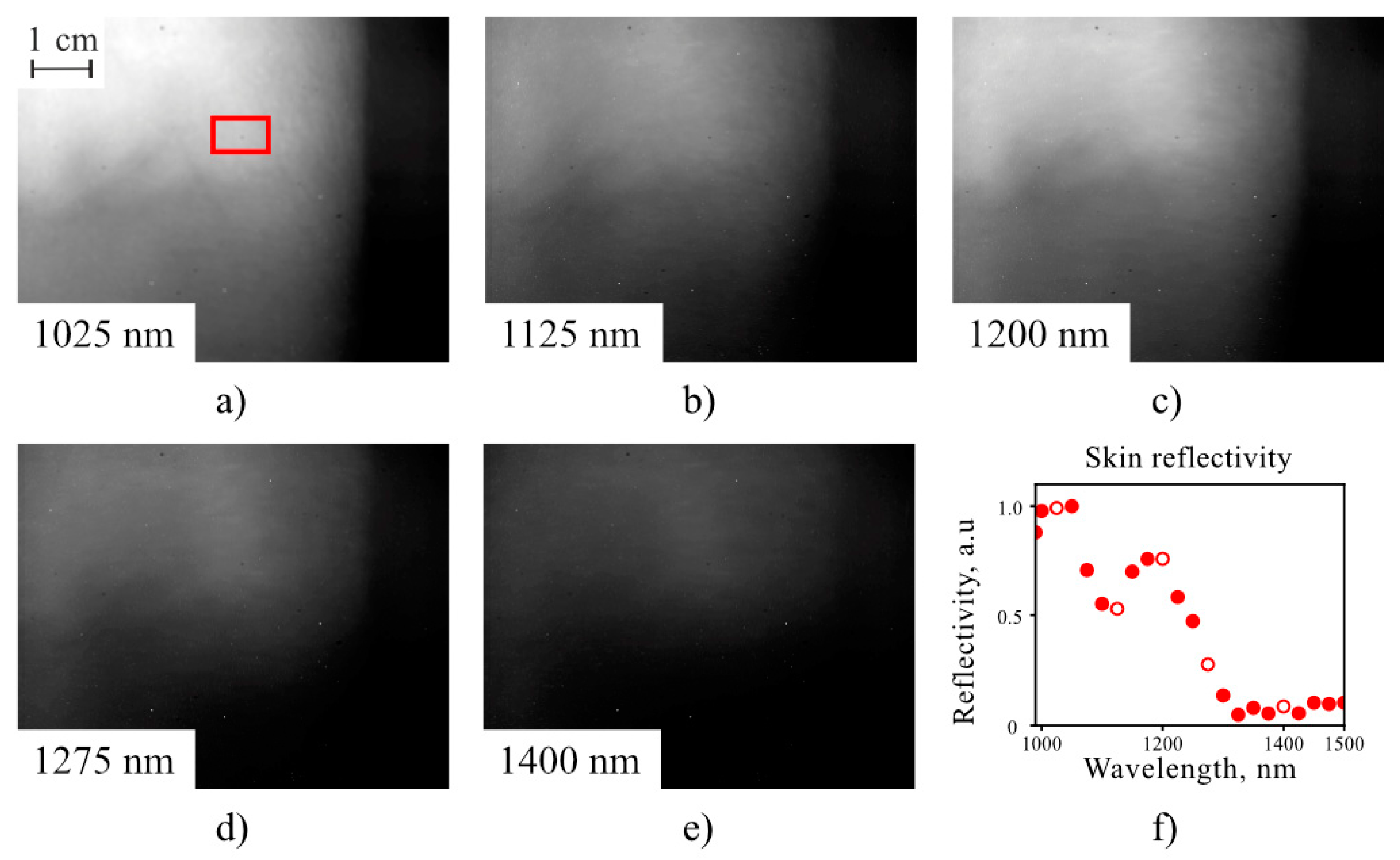 Sensors 20 04439 g008