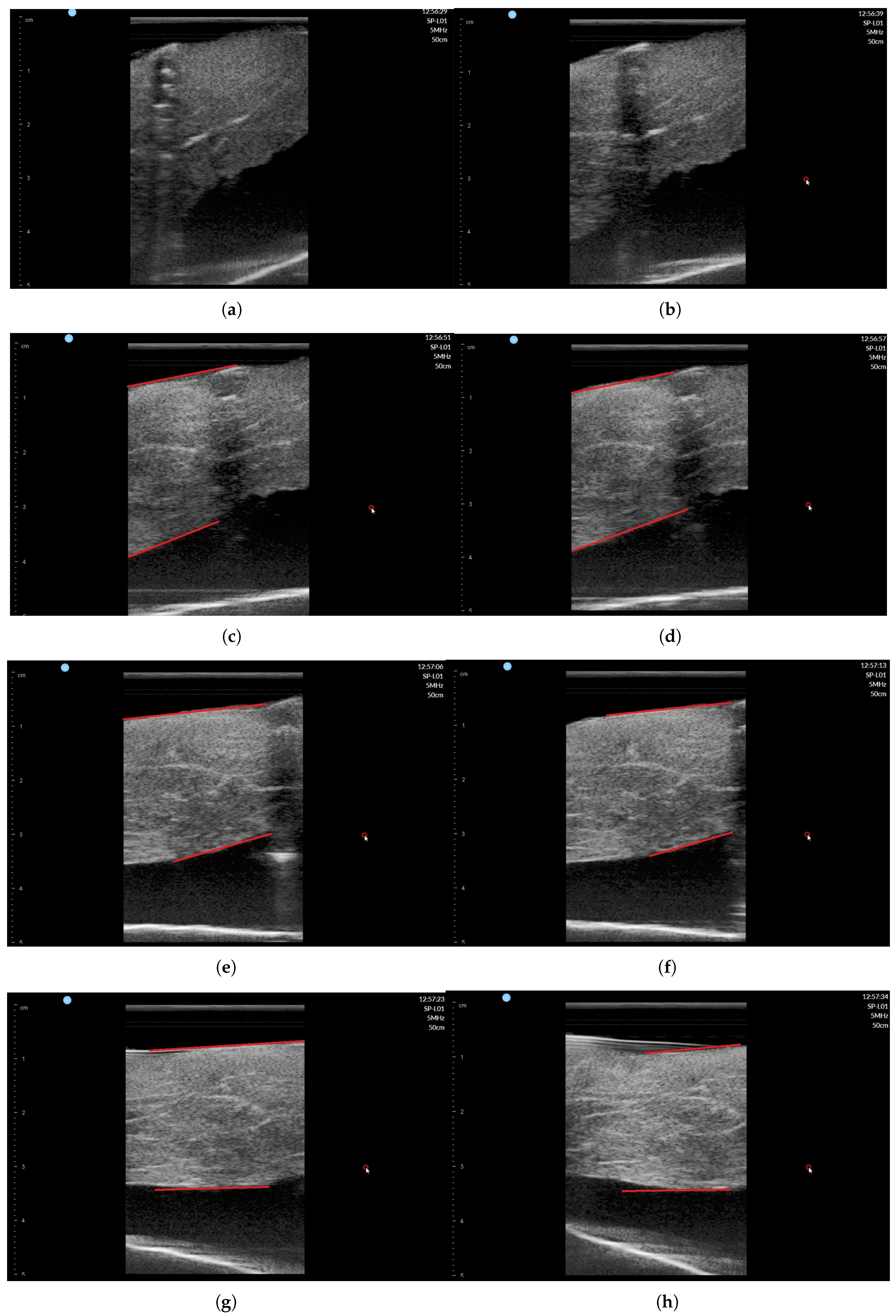 Sensors 20 04447 g018 Sensors 20 04447 g018