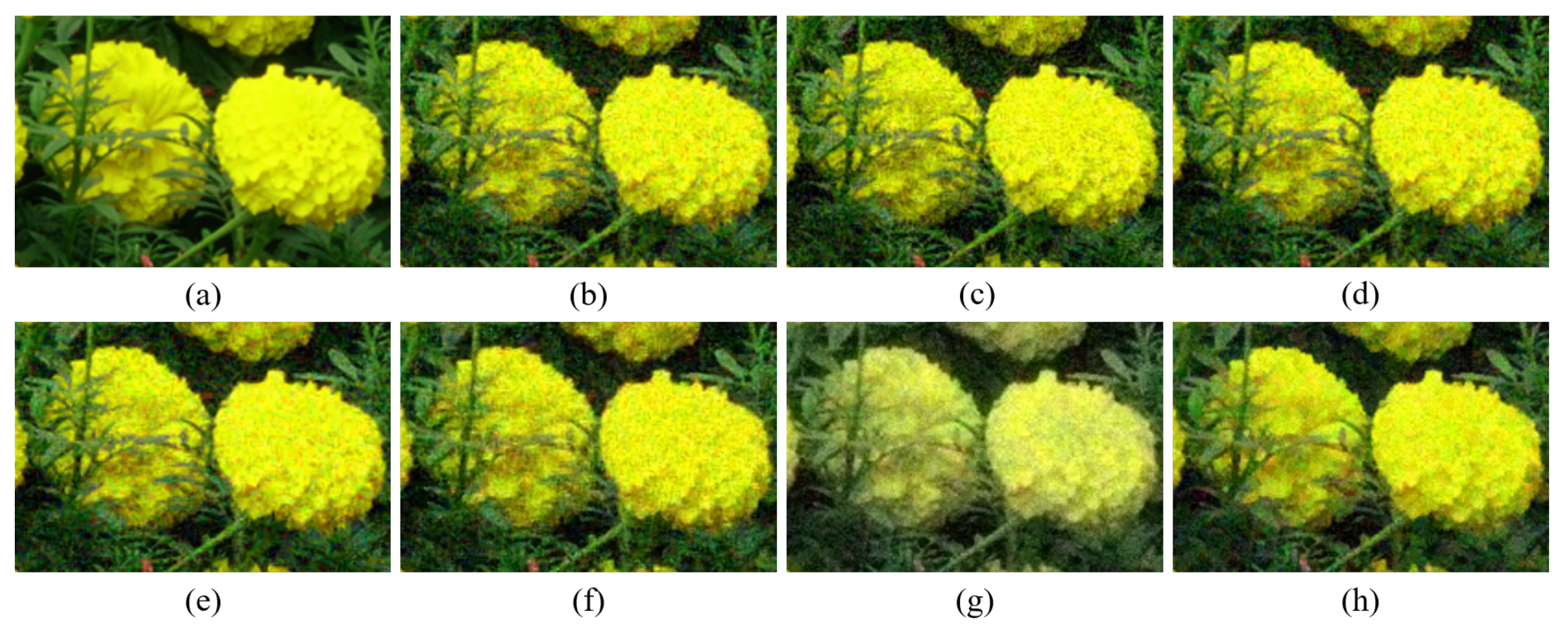 Sensors 20 04458 g015