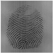 Sensors 20 04473 i002 Sensors 20 04473 i002