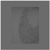 Sensors 20 04473 i004 Sensors 20 04473 i004