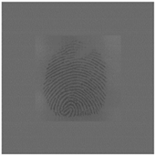 Sensors 20 04473 i005 Sensors 20 04473 i005