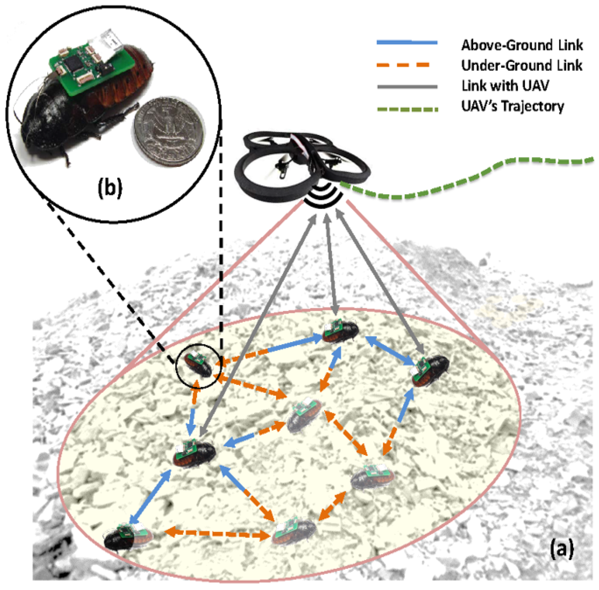 Sensors 20 04486 g001