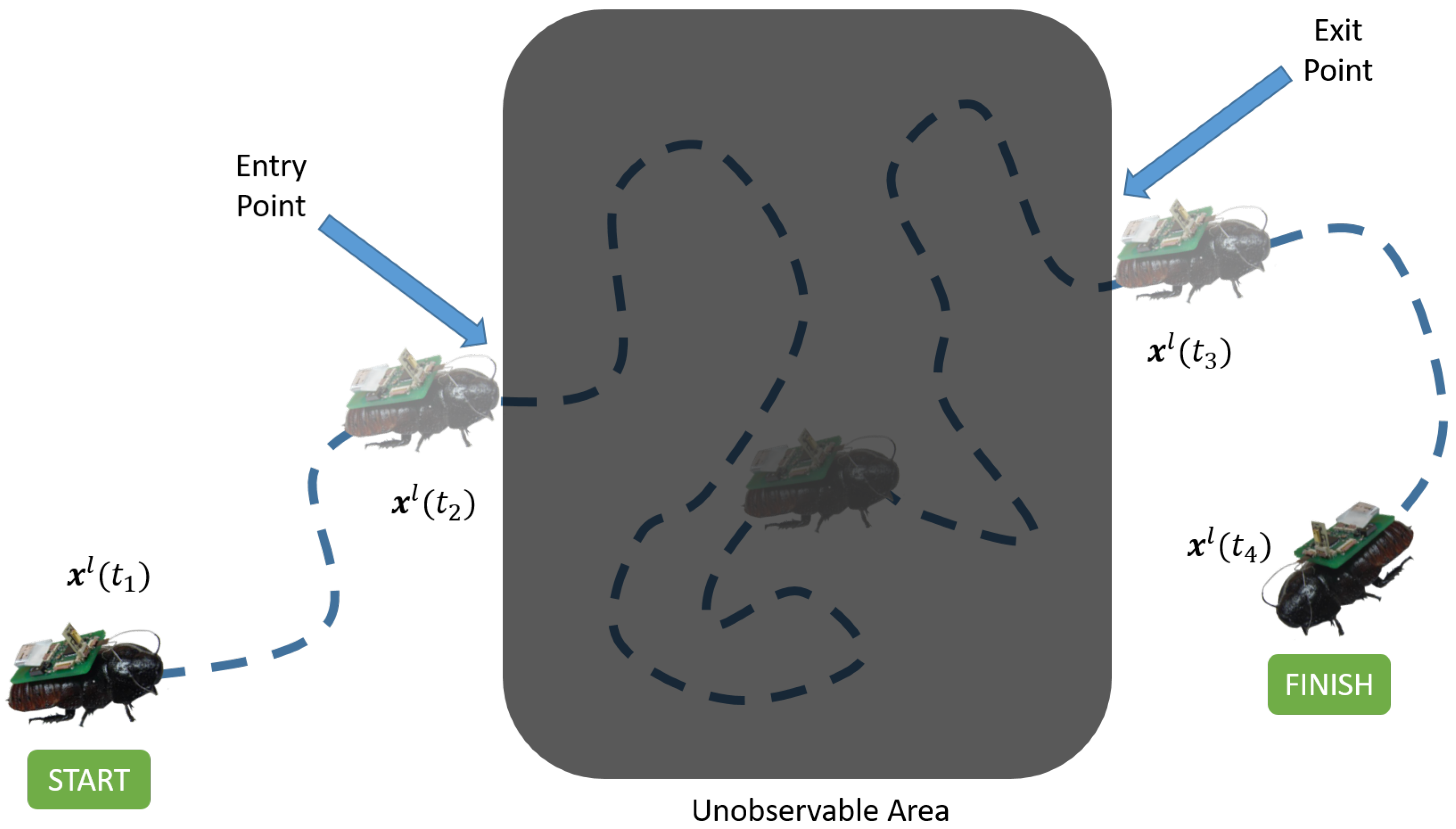 Sensors 20 04486 g002