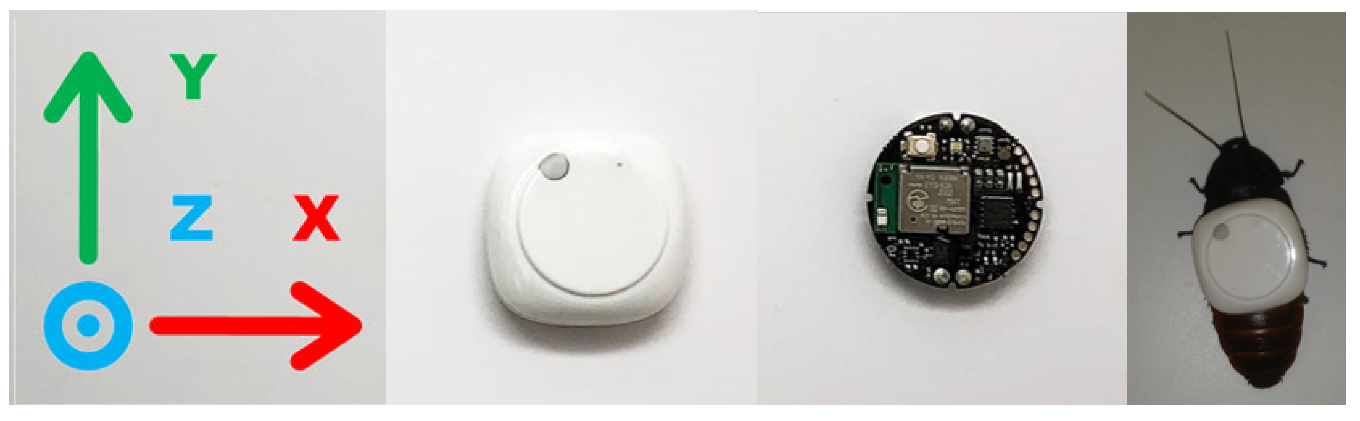 Sensors 20 04486 g007