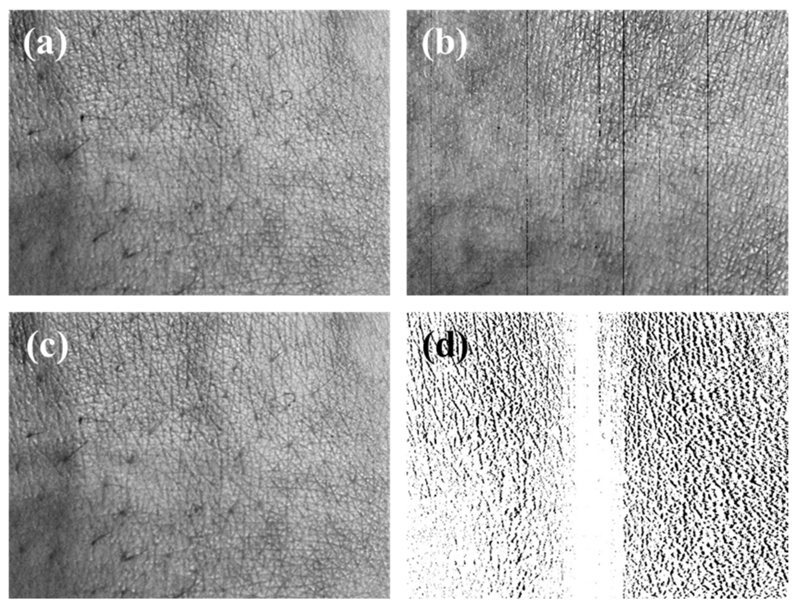 Sensors 20 04492 g010 Sensors 20 04492 g010