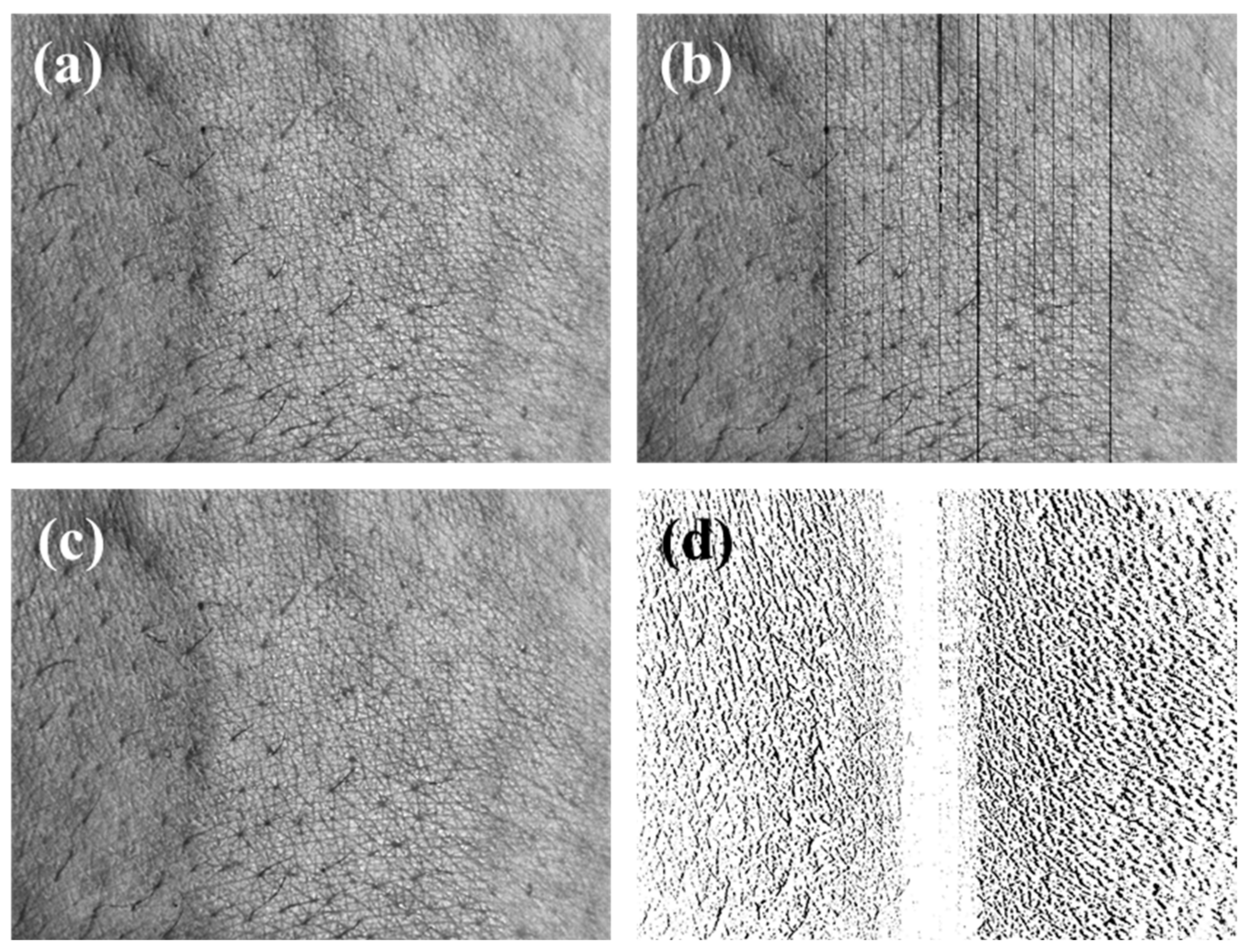 Sensors 20 04492 g011 Sensors 20 04492 g011