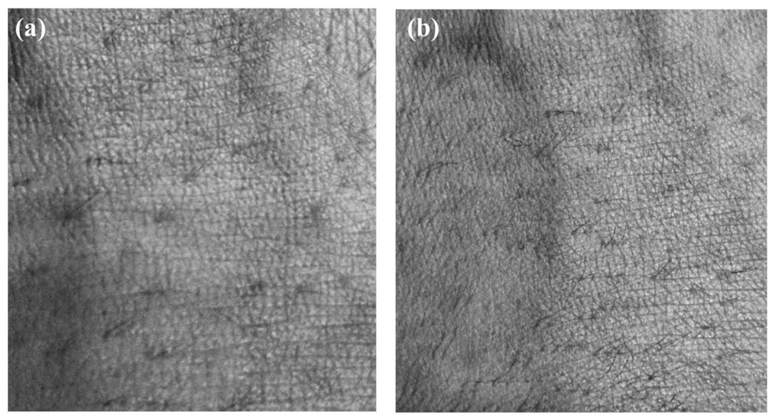Sensors 20 04492 g012 Sensors 20 04492 g012