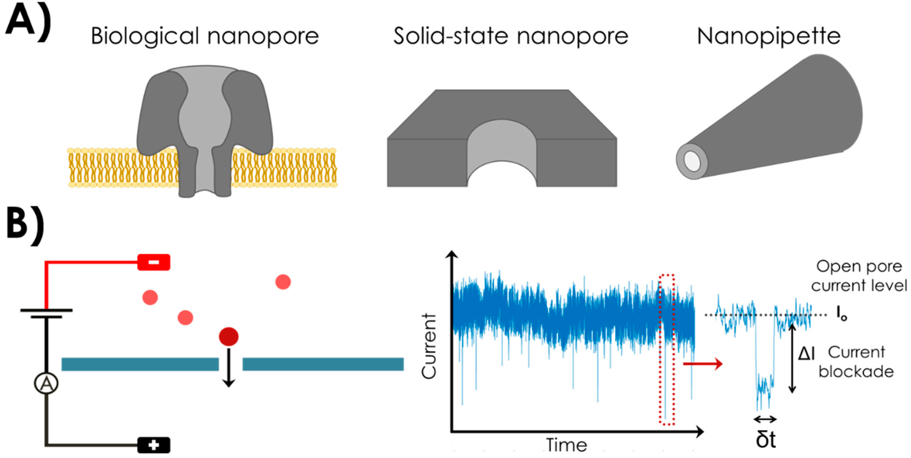 Sensors 20 04495 g001 Sensors 20 04495 g001