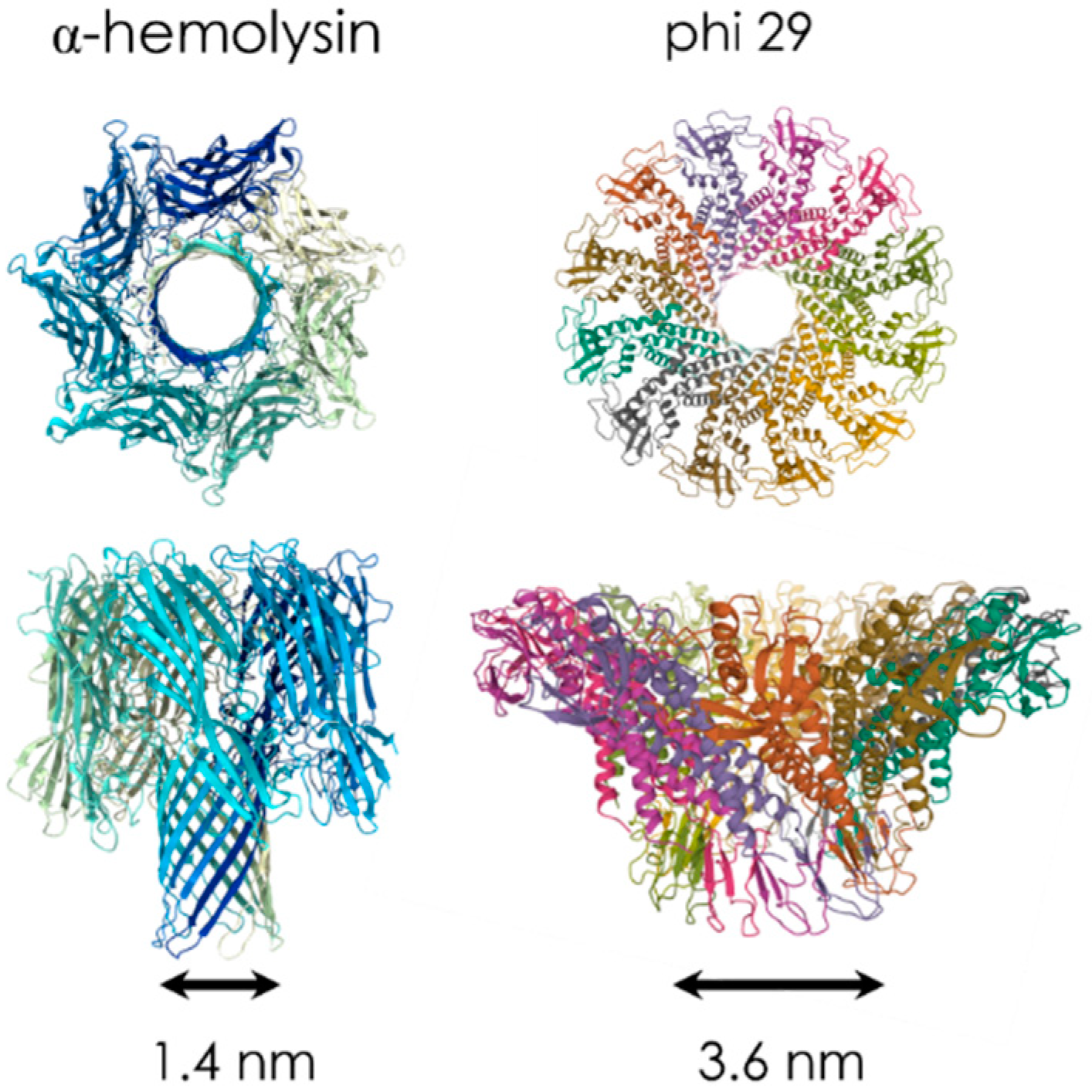 Sensors 20 04495 g002 Sensors 20 04495 g002