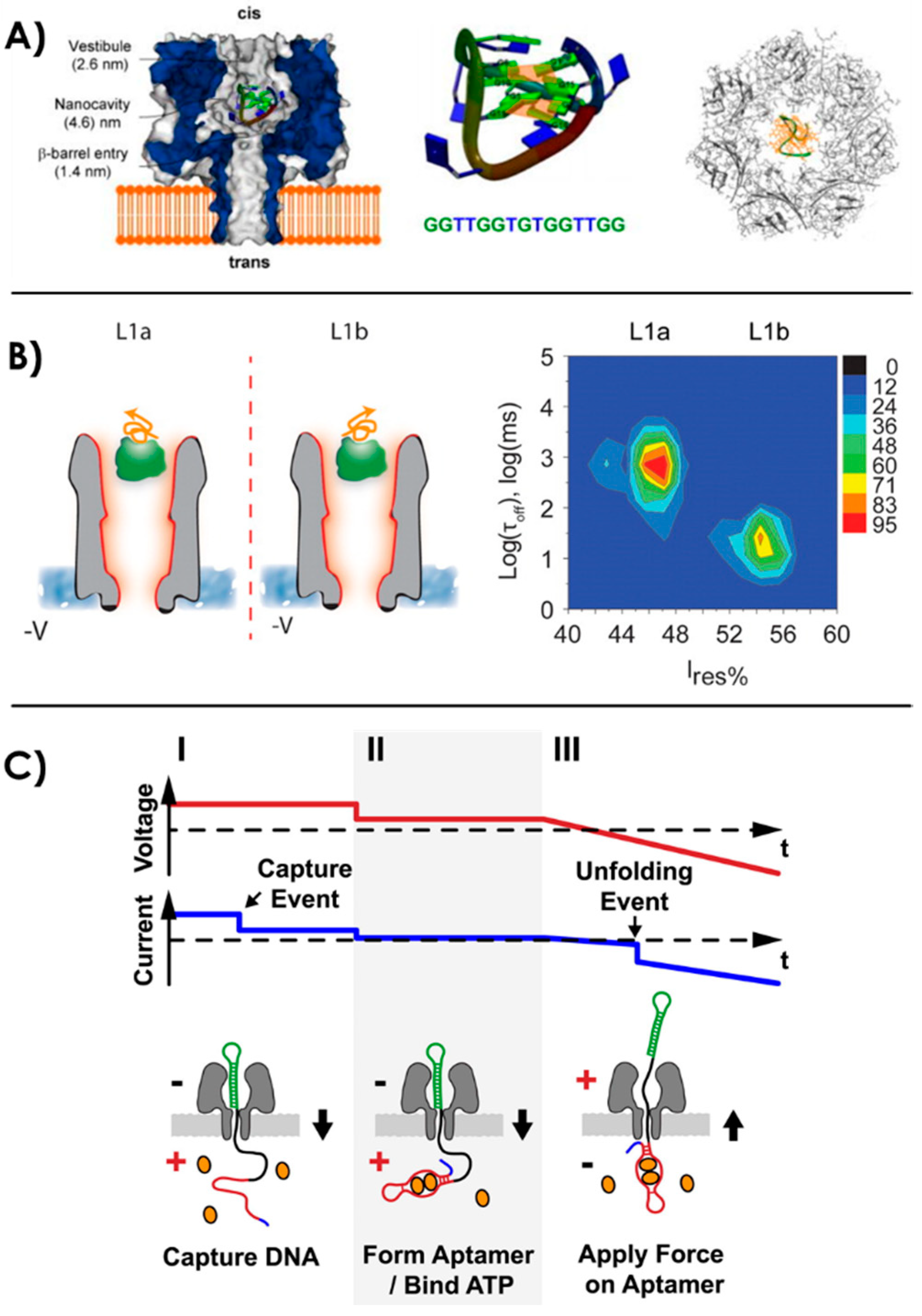 Sensors 20 04495 g004 Sensors 20 04495 g004