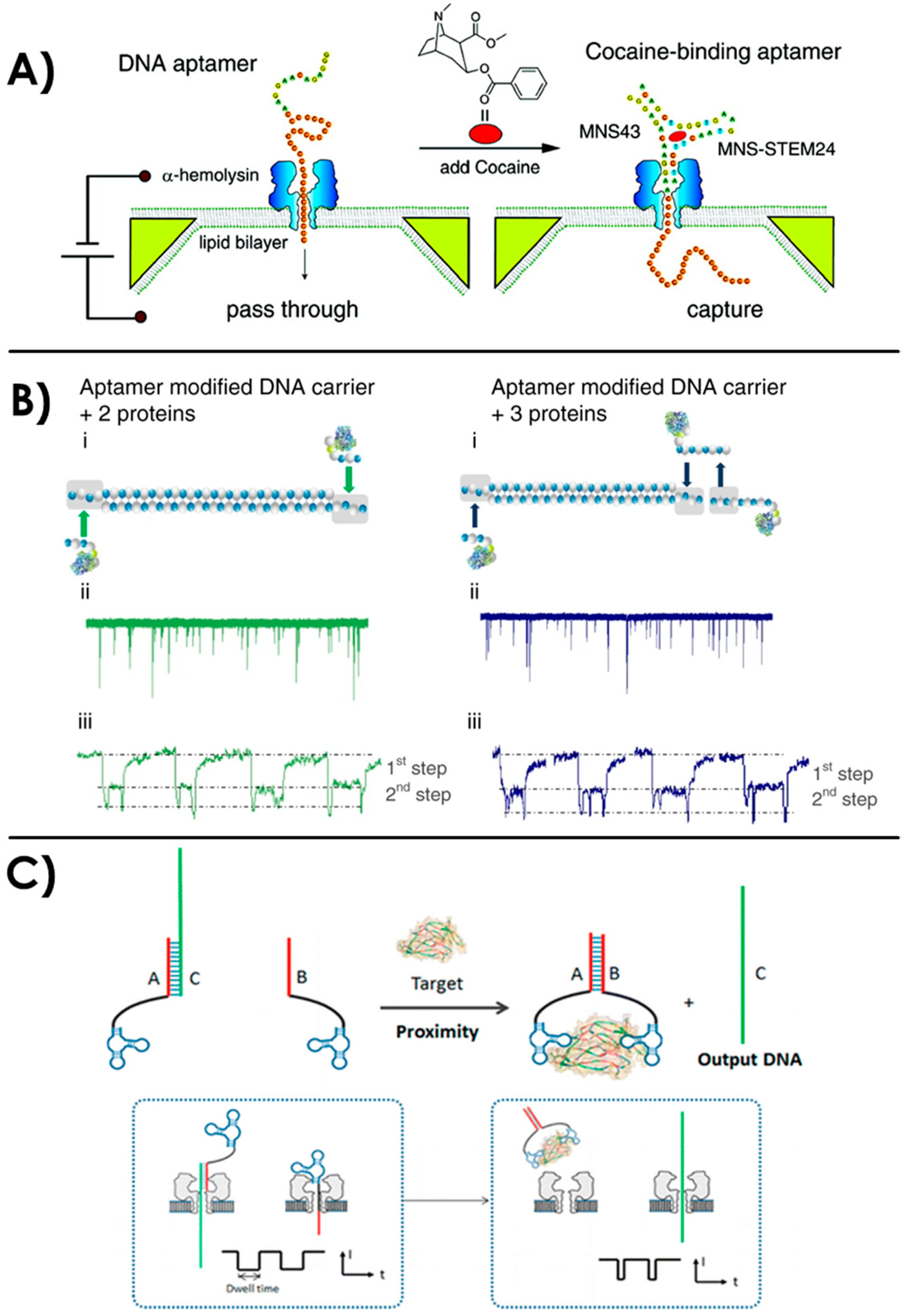 Sensors 20 04495 g005 Sensors 20 04495 g005