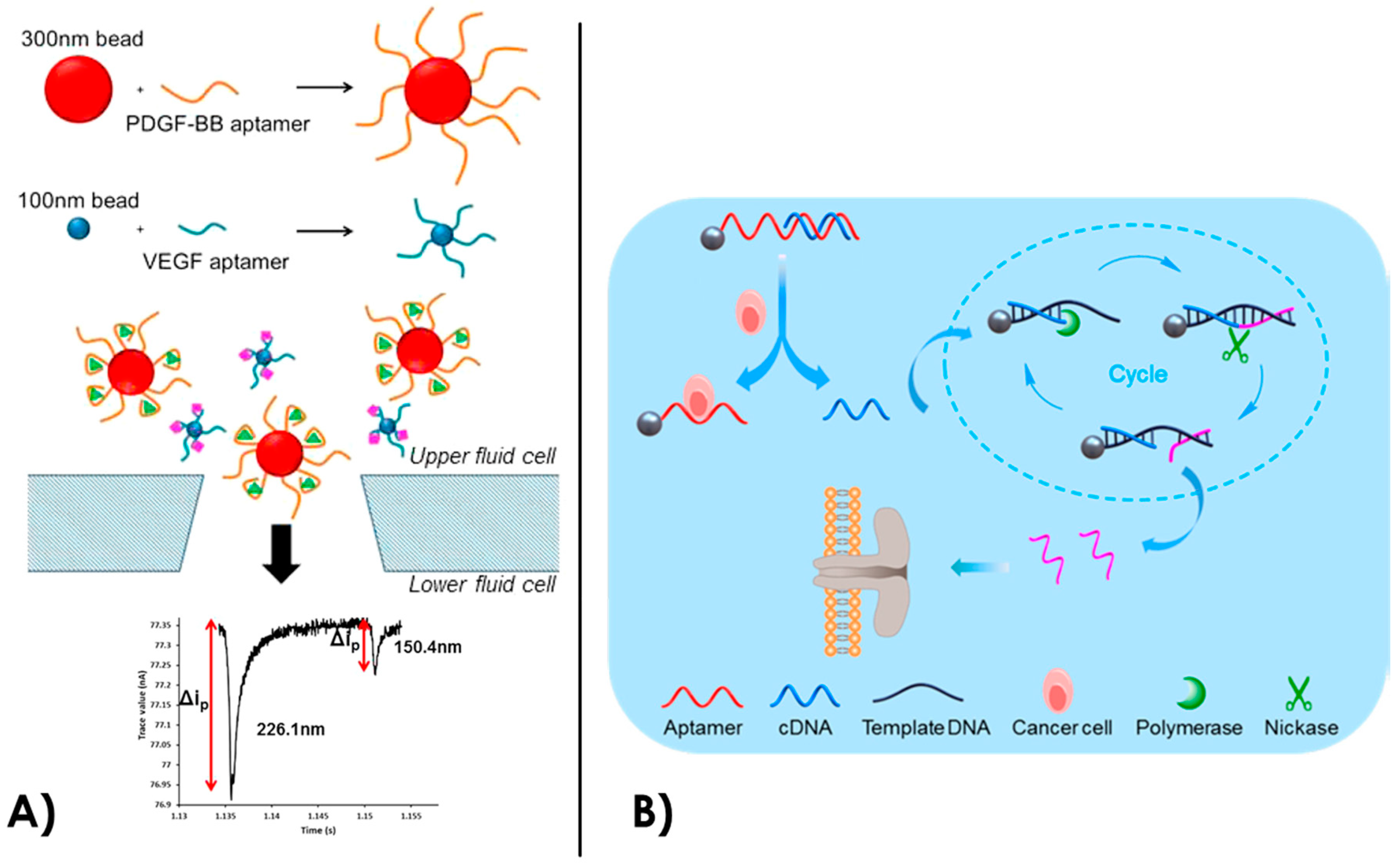 Sensors 20 04495 g006 Sensors 20 04495 g006