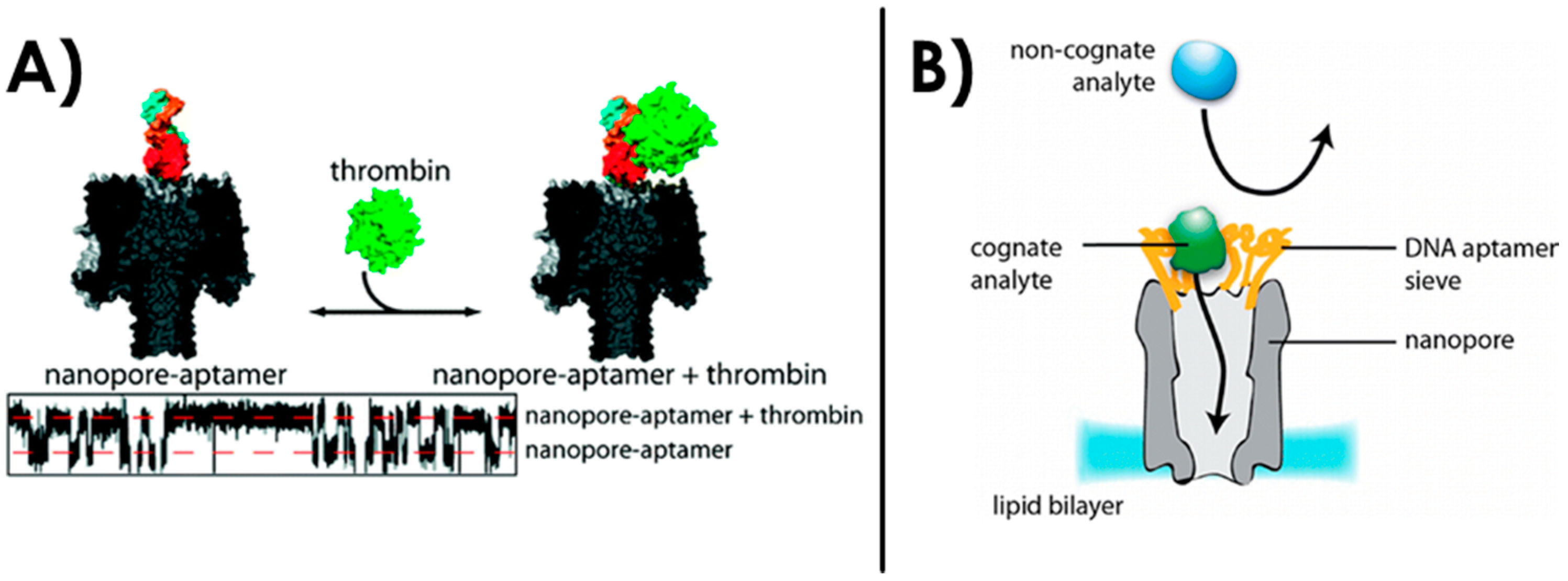 Sensors 20 04495 g008 Sensors 20 04495 g008