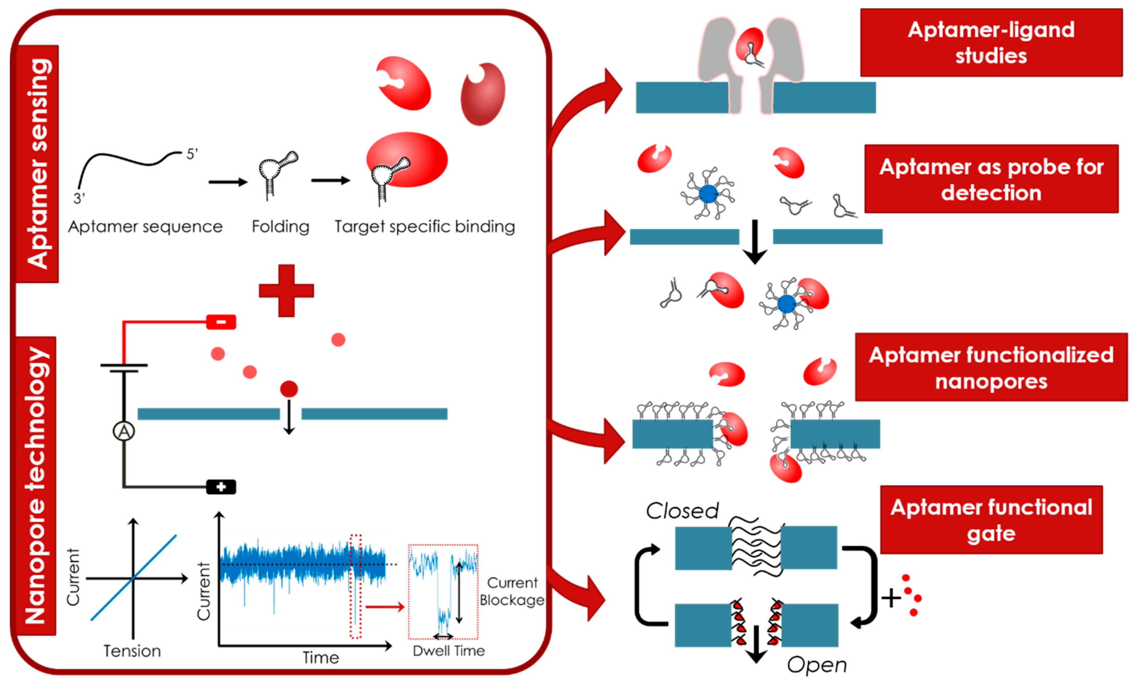 Sensors 20 04495 g011 Sensors 20 04495 g011