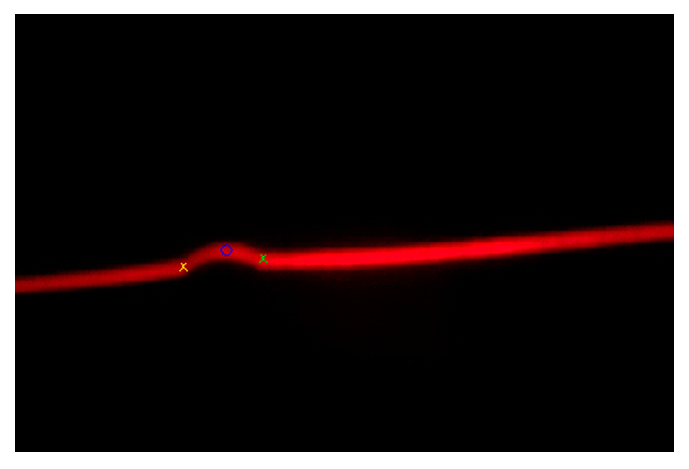 Sensors 20 04505 g007