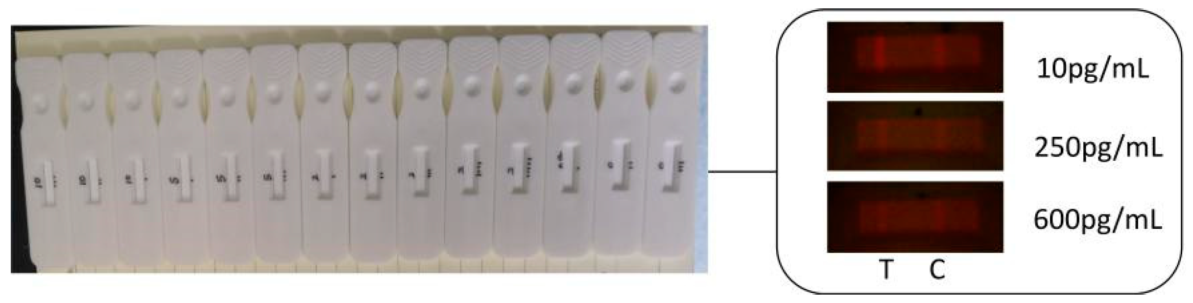 Sensors 20 04521 g008