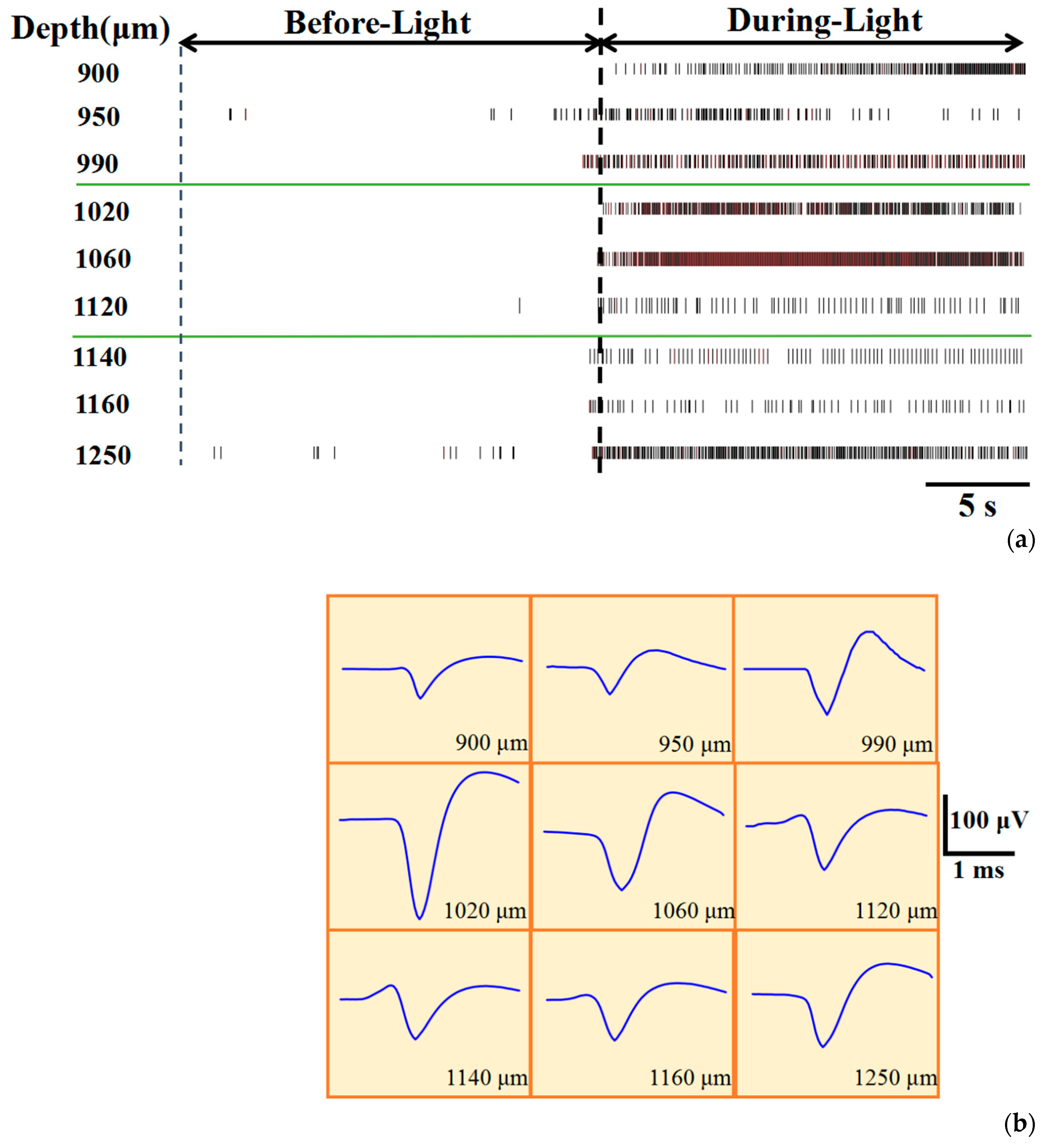 Sensors 20 04526 g003 Sensors 20 04526 g003