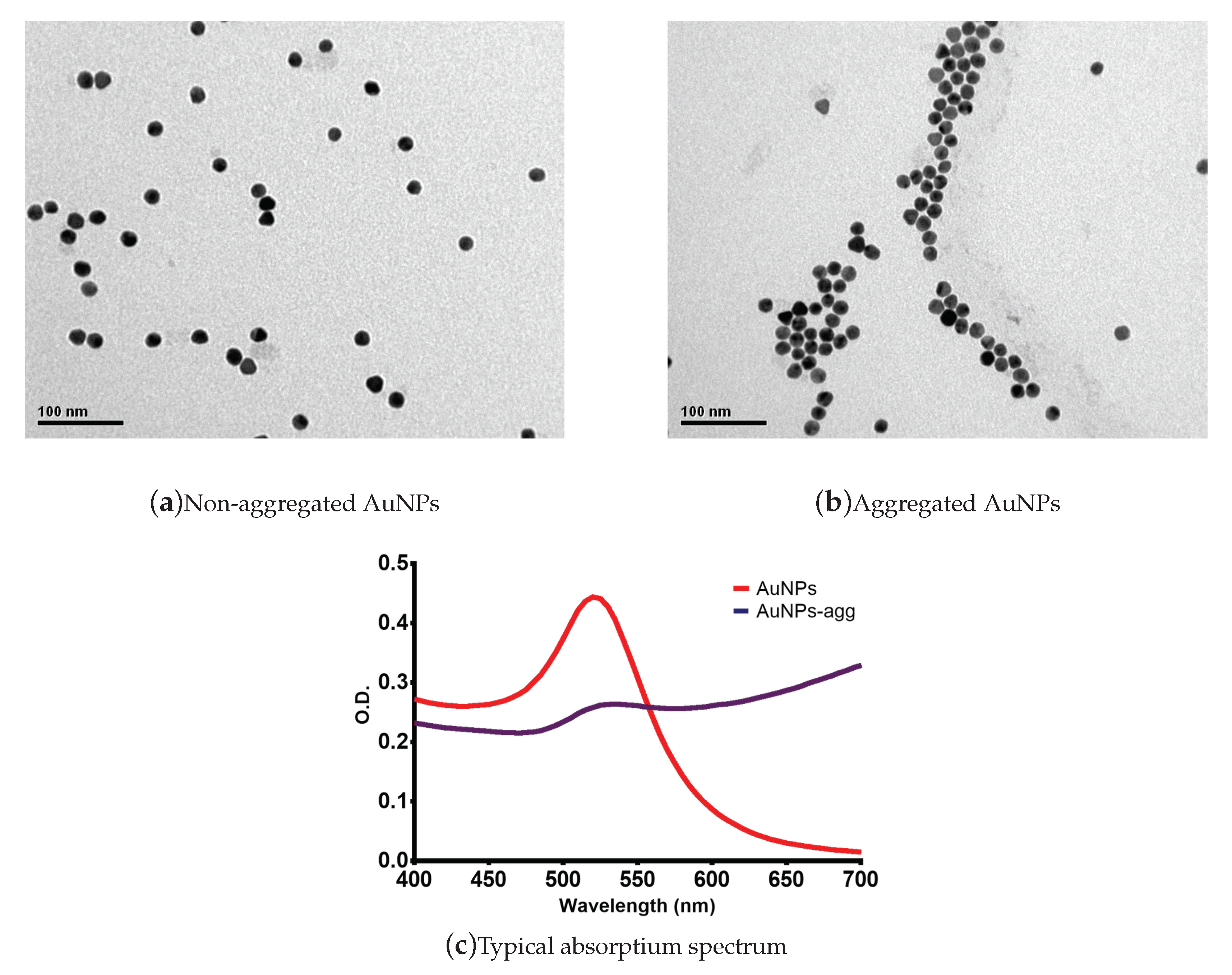 Sensors 20 04552 g001