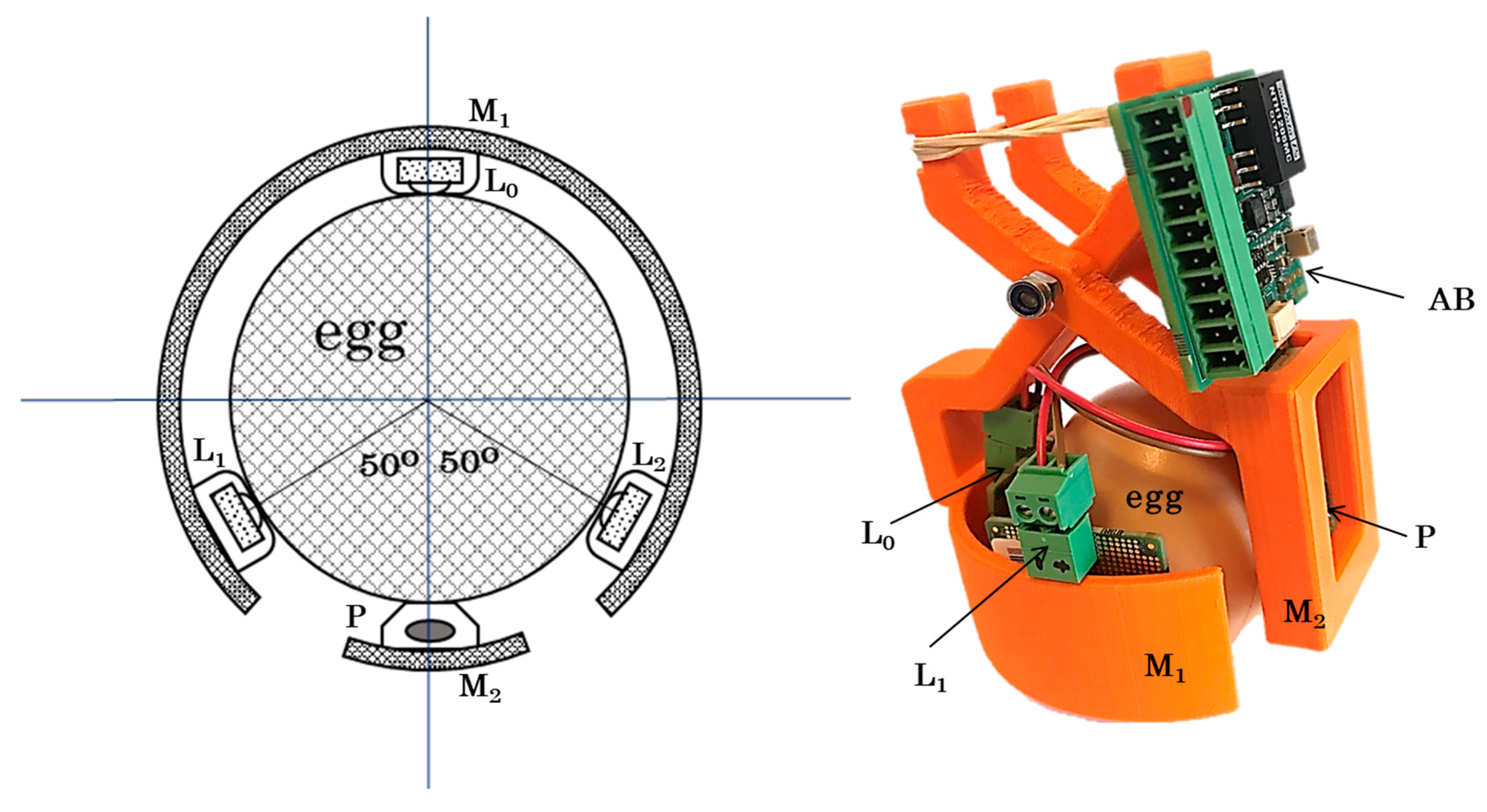 Sensors 20 04560 g002