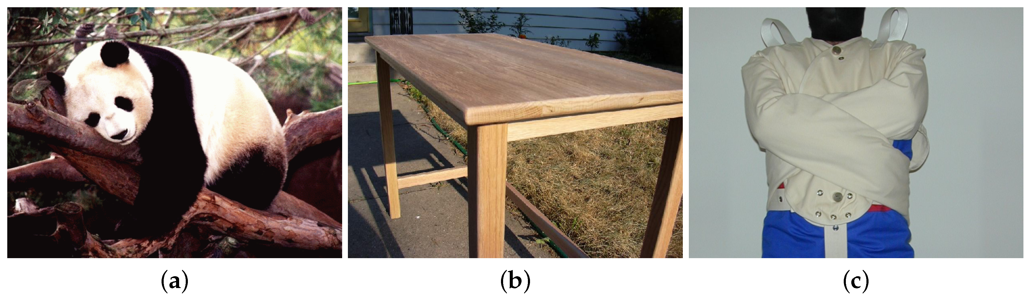 Sensors 20 04561 g004