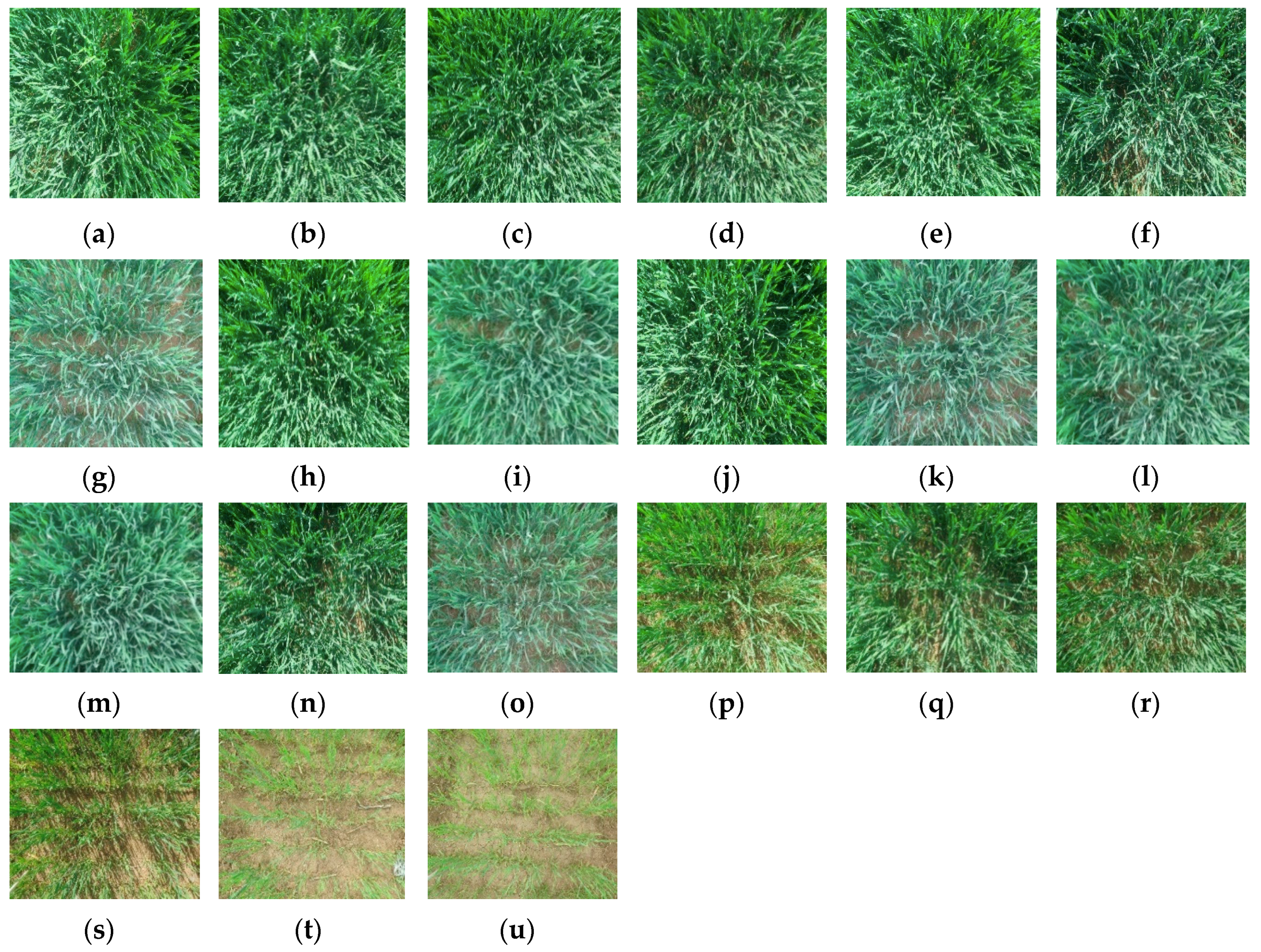 Sensors 20 04570 g003