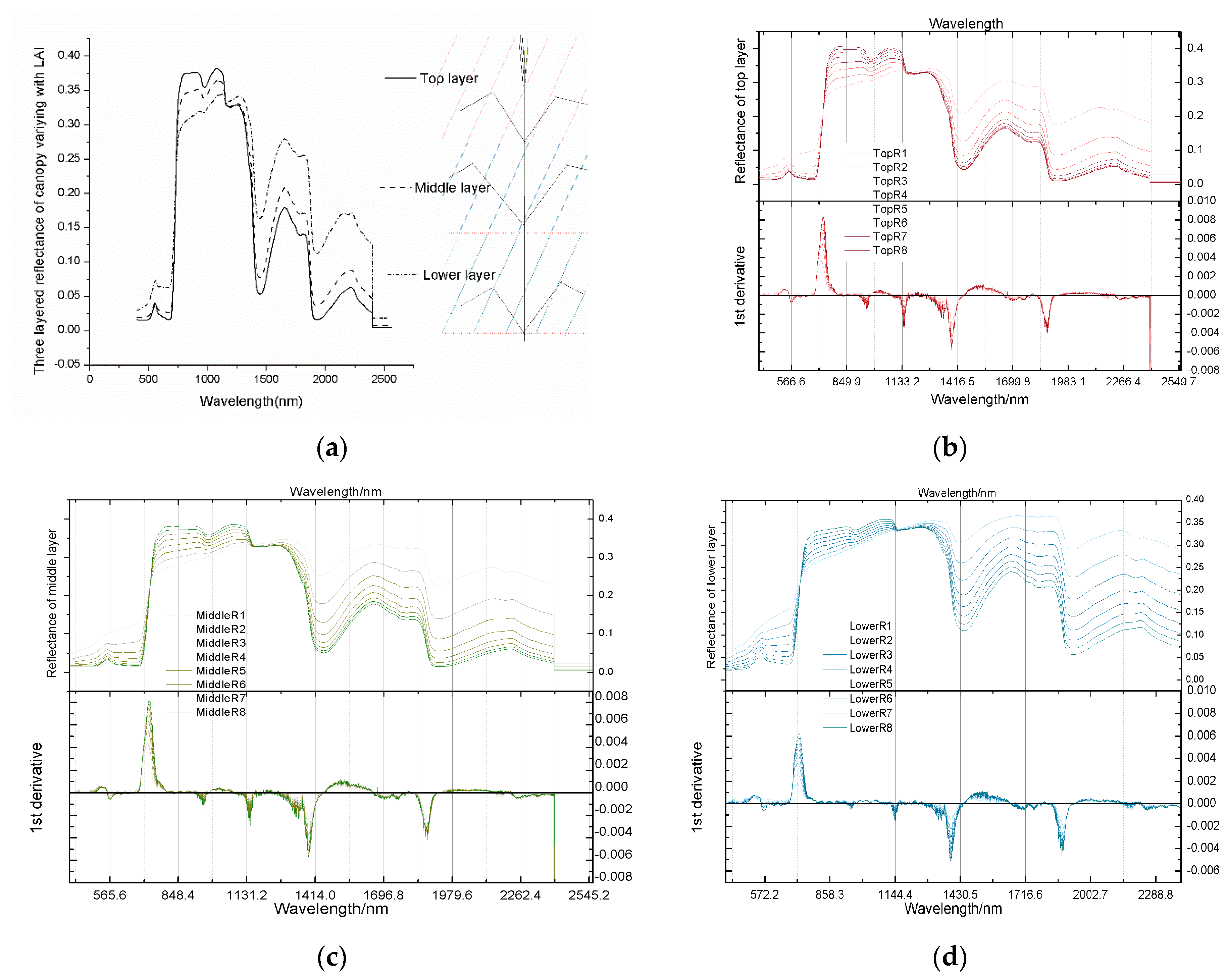 Sensors 20 04570 g006