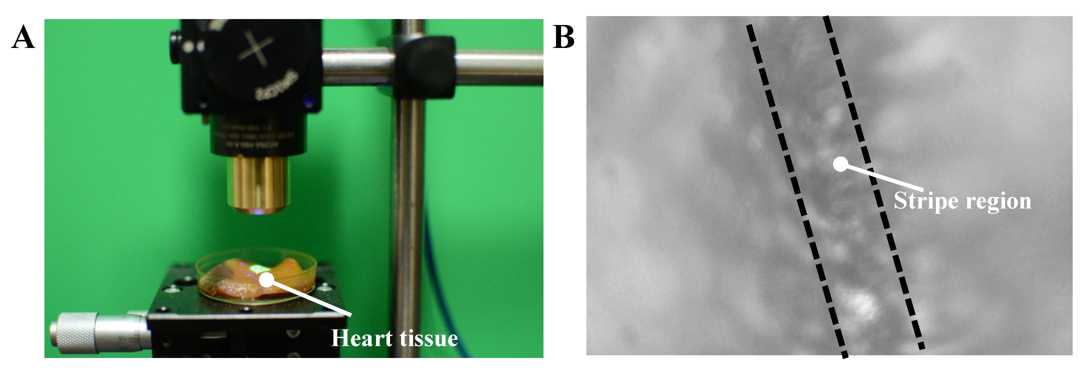 Sensors 20 04573 g011 Sensors 20 04573 g011