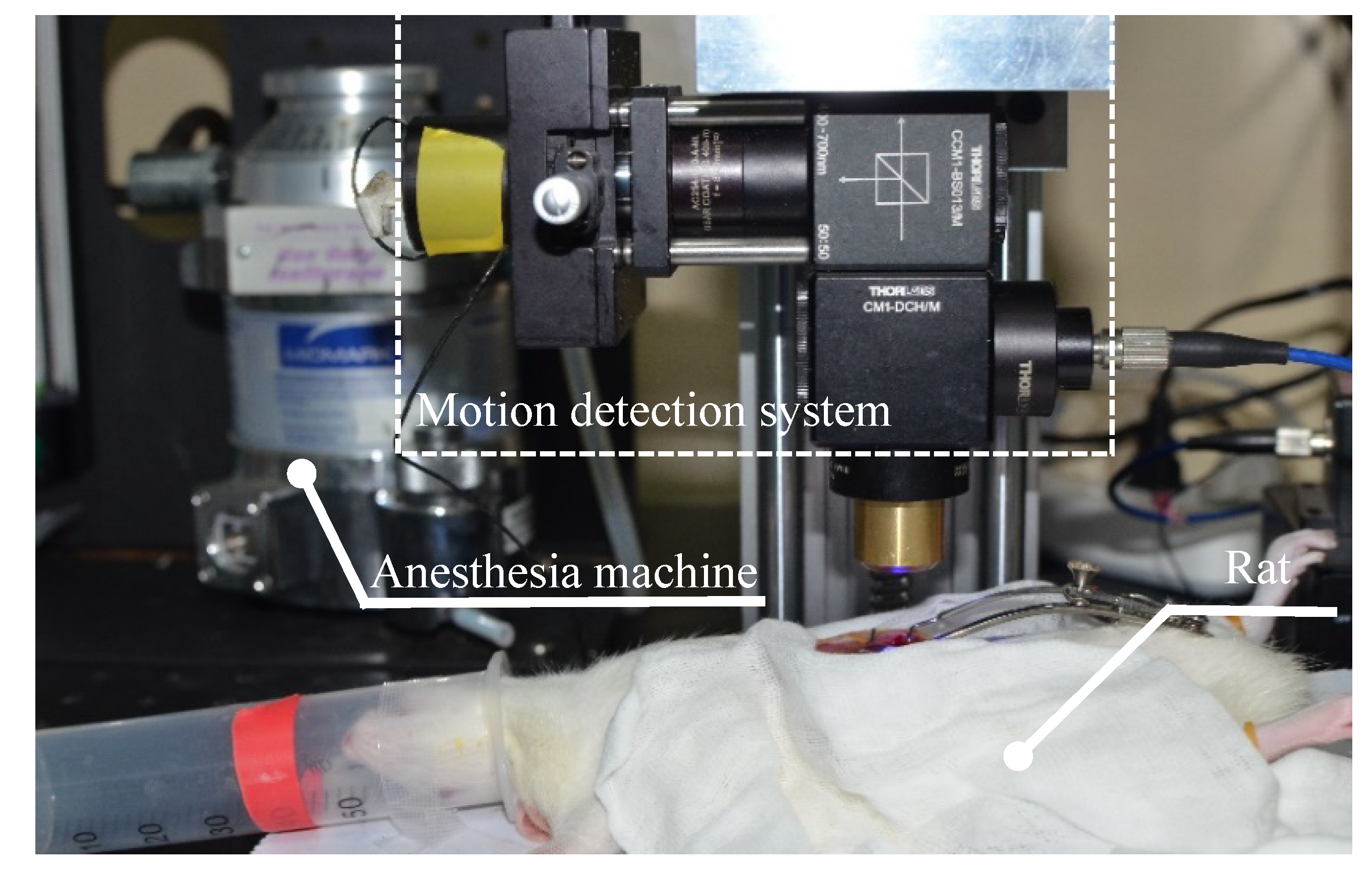 Sensors 20 04573 g013 Sensors 20 04573 g013