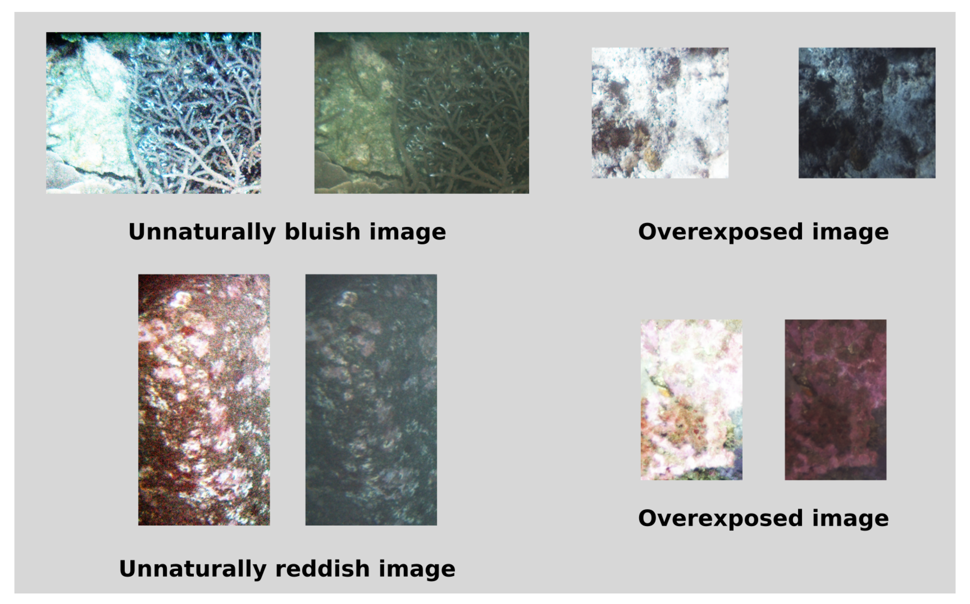 Sensors 20 04580 g007