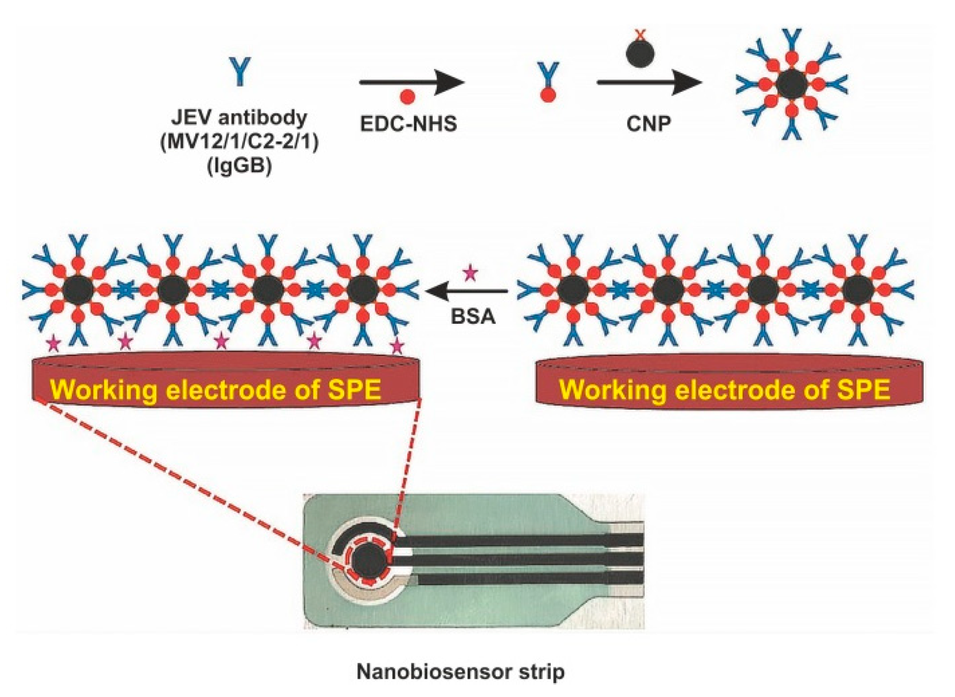 Sensors 20 04600 g006 Sensors 20 04600 g006