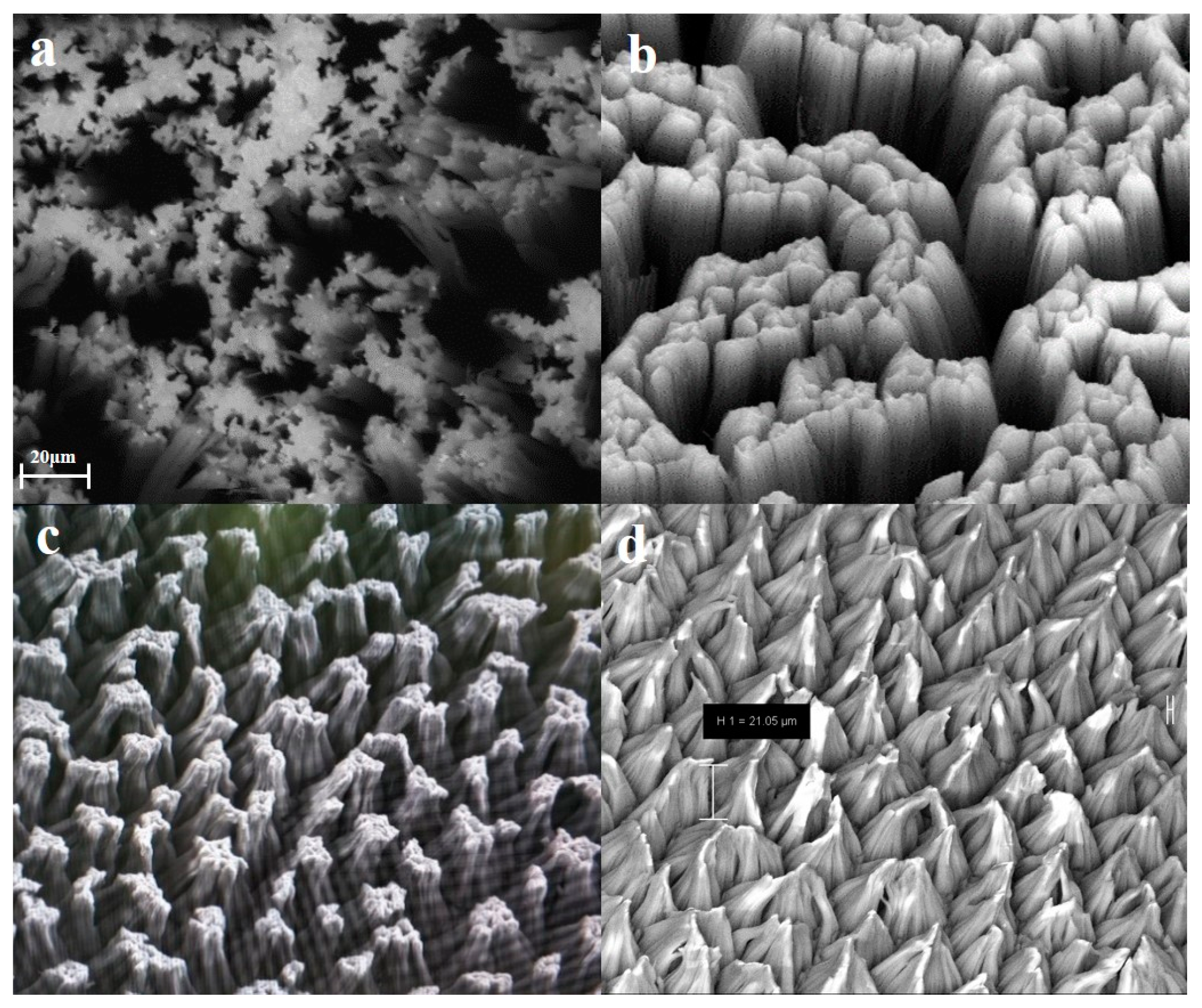 Sensors 20 04613 g002 Sensors 20 04613 g002