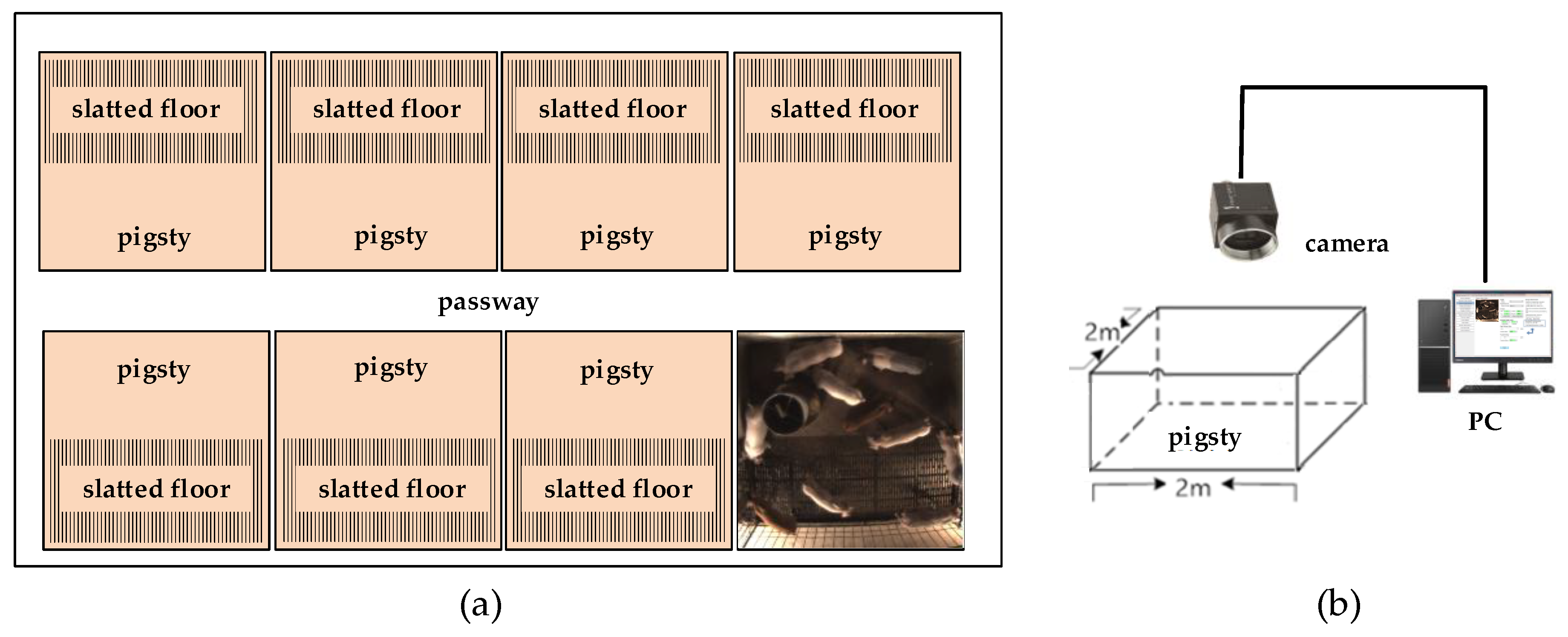 Sensors 20 04649 g002