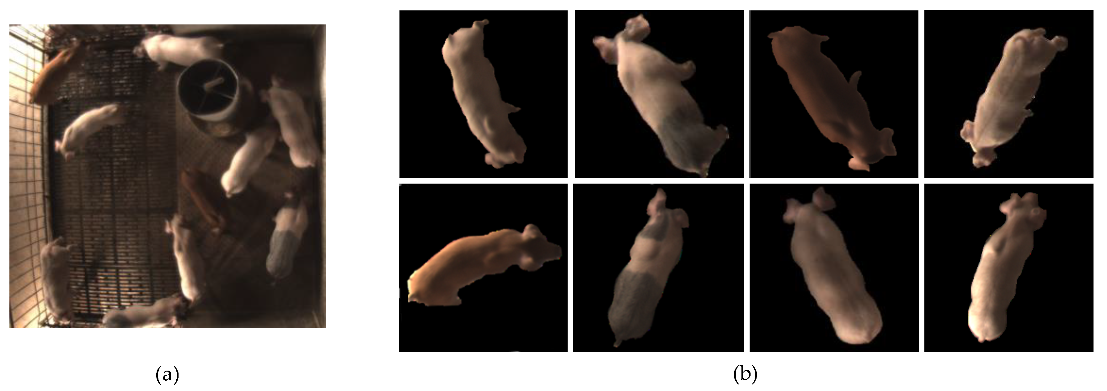 Sensors 20 04649 g003