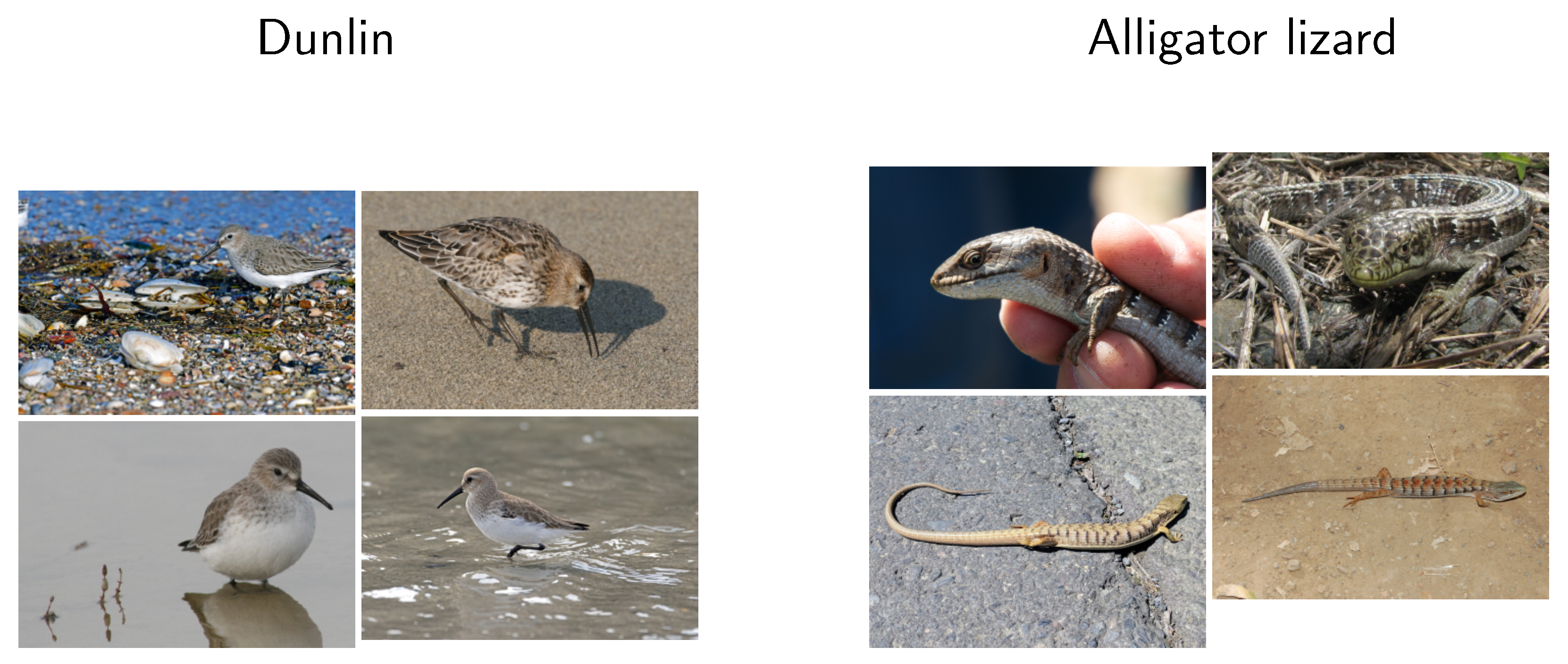 Sensors 20 04668 g001 Sensors 20 04668 g001