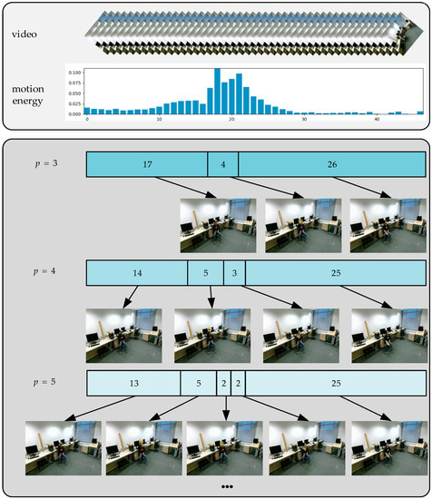 Energy-Guided Temporal Segmentation Network for Multimodal Human Action ...
