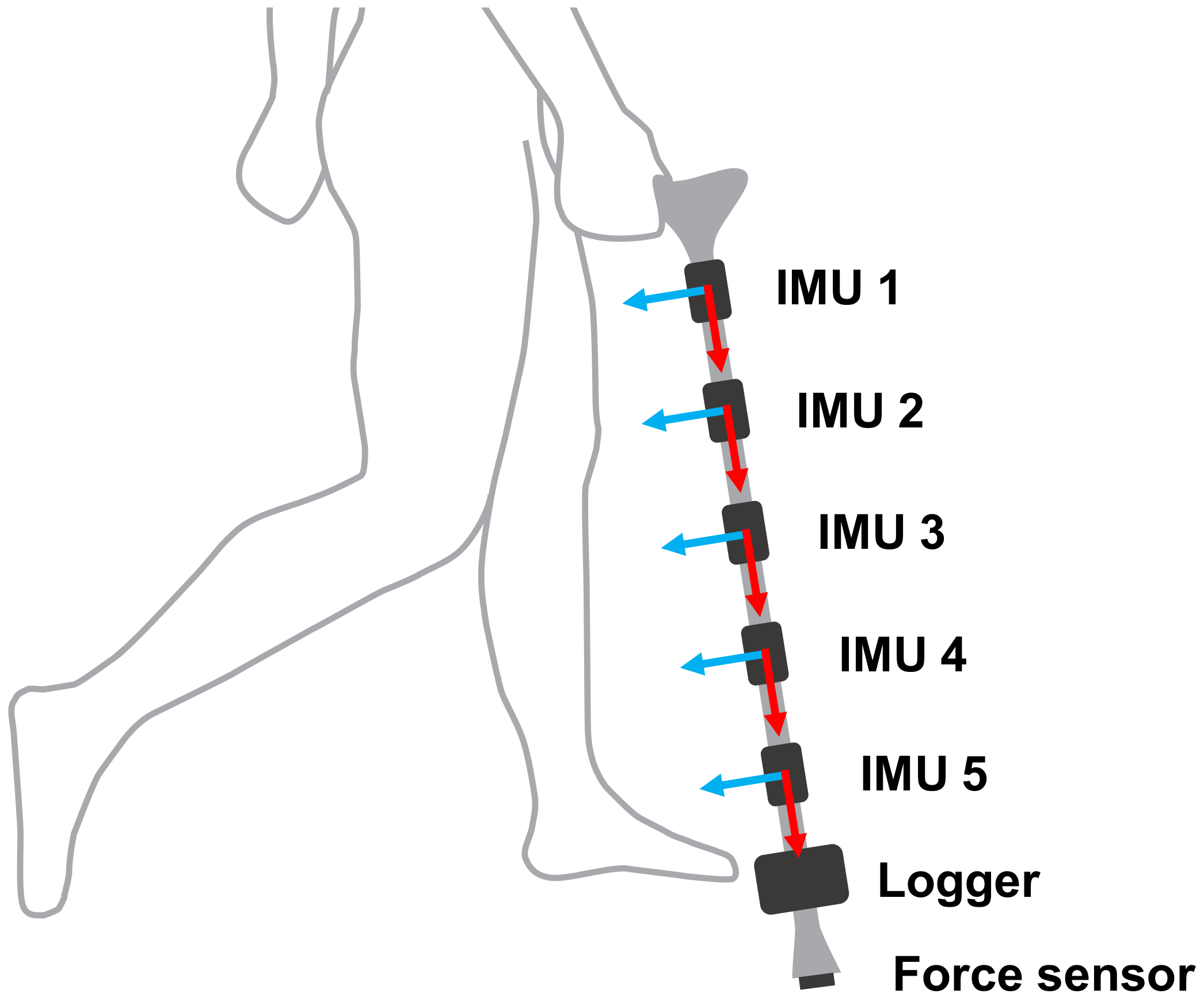 Sensors 20 04675 g004 Sensors 20 04675 g004