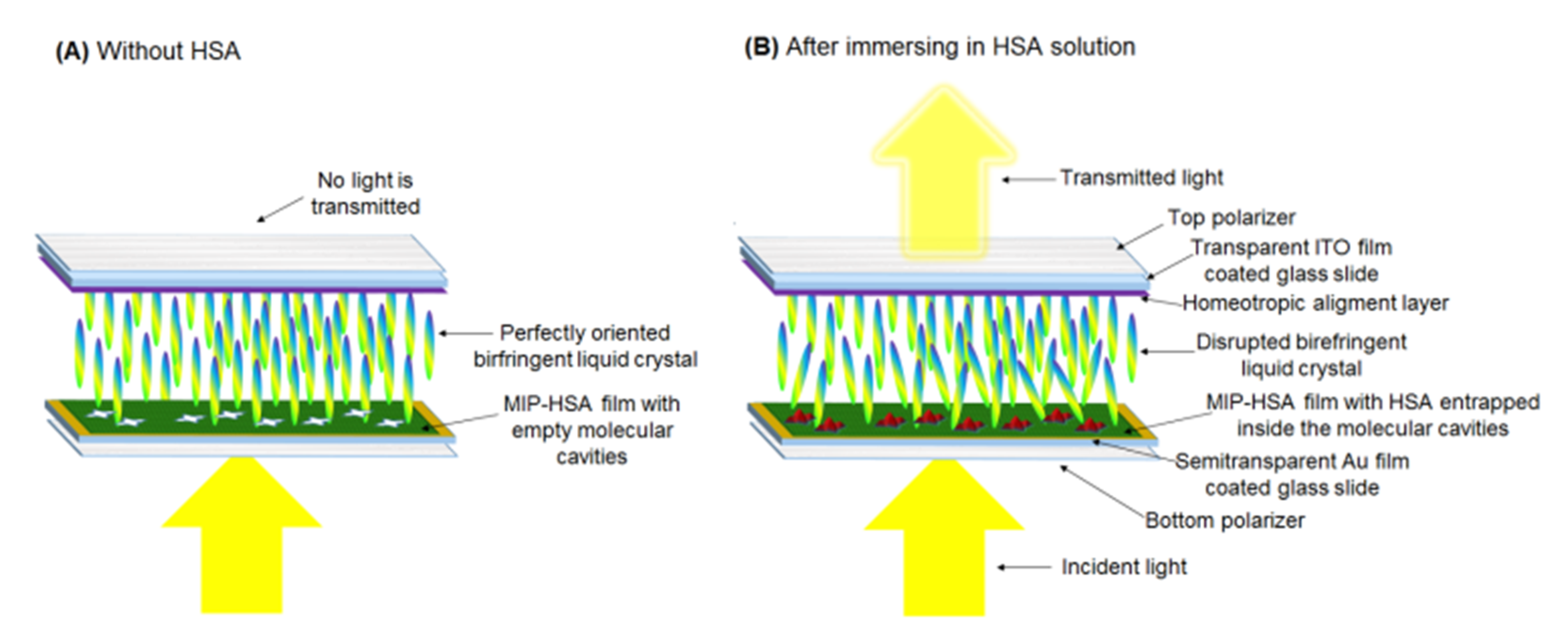 Sensors 20 04692 sch001 Sensors 20 04692 sch001