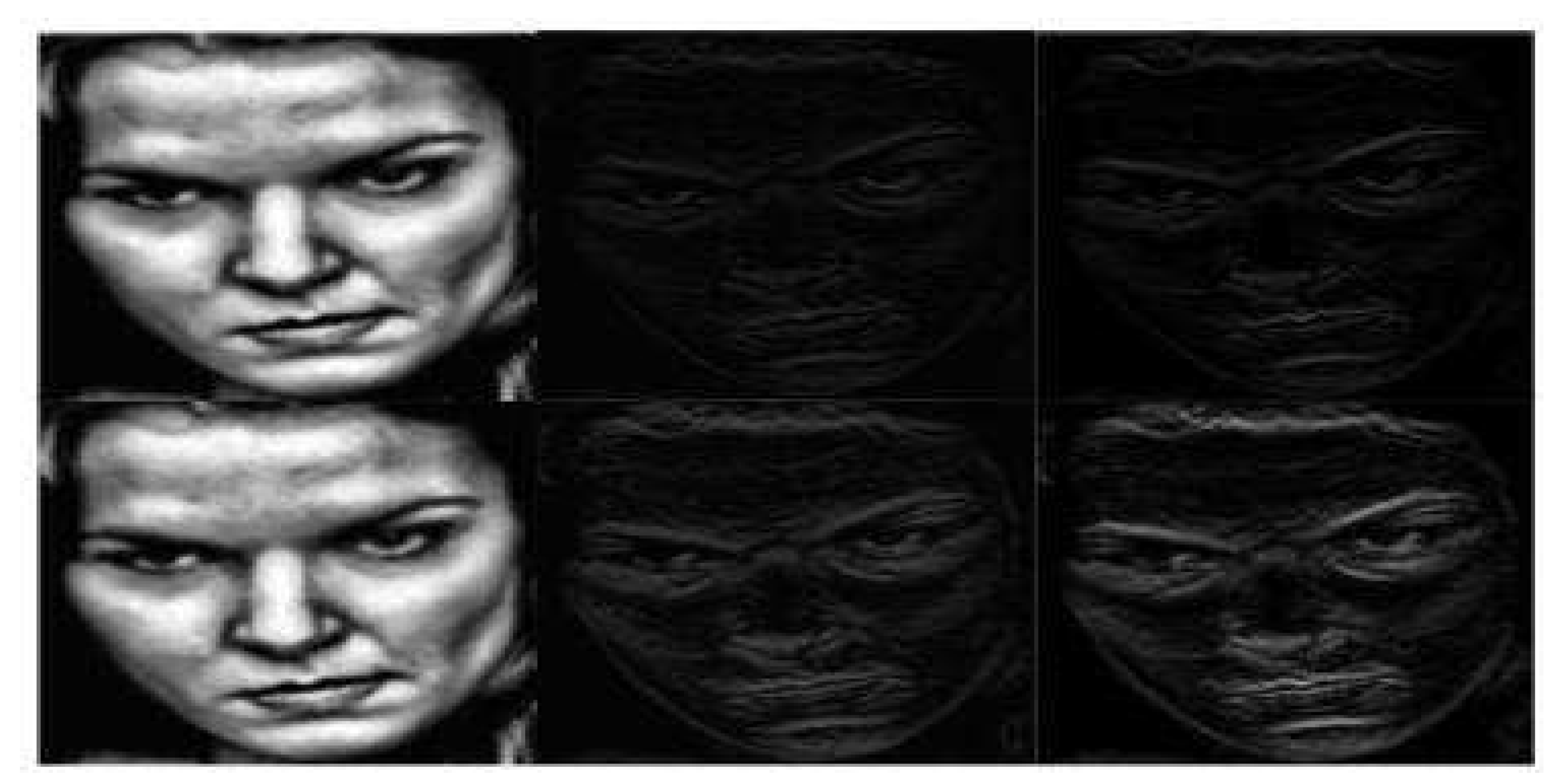 Sensors 20 04727 g005