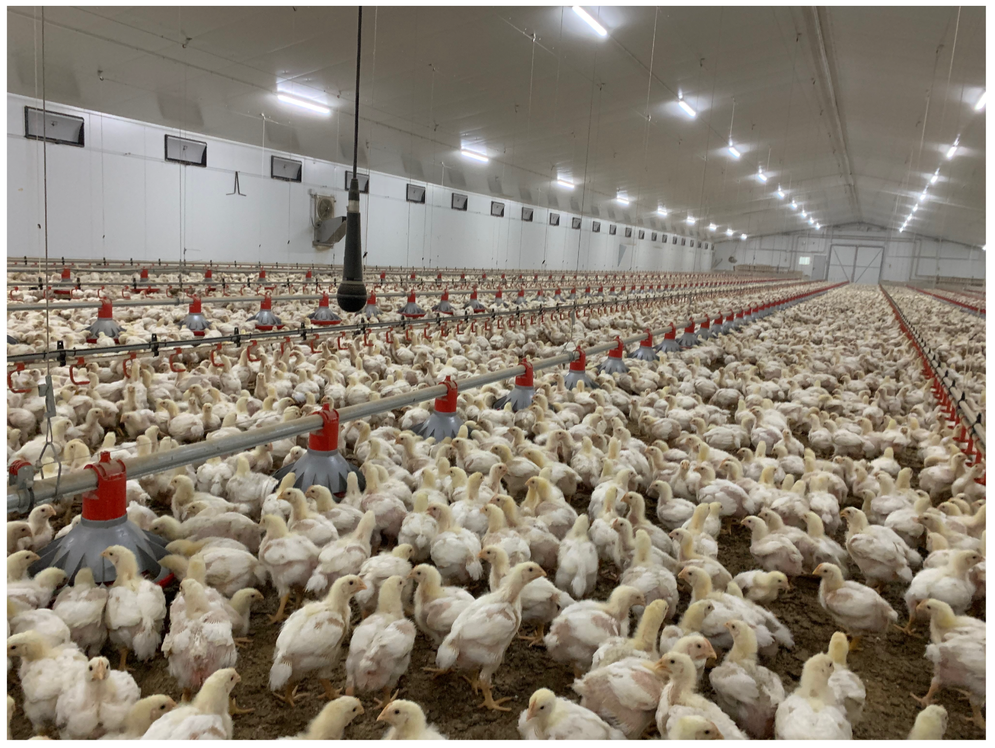 Sensors 20 04732 g001