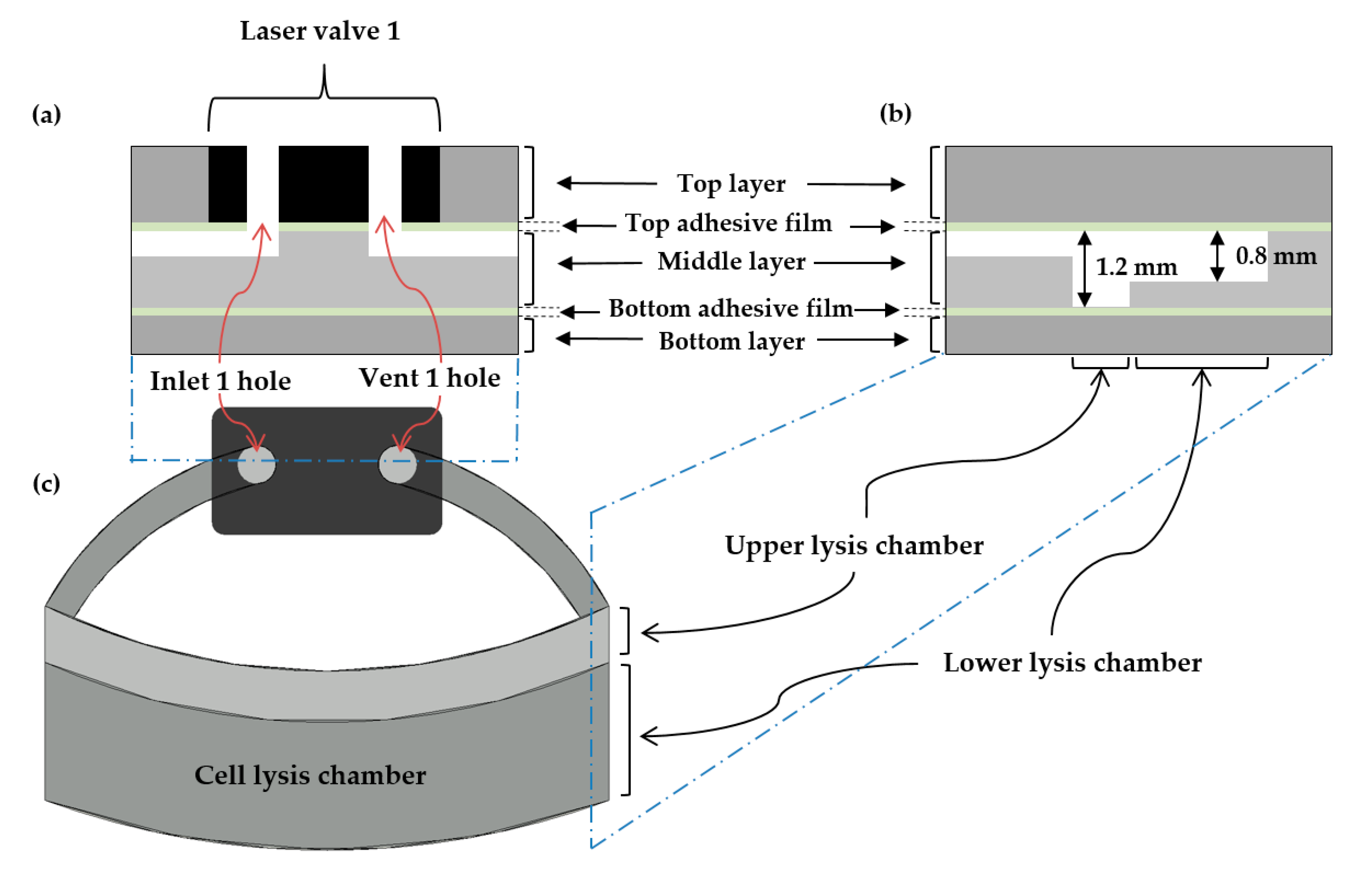 Sensors 20 04746 g004 Sensors 20 04746 g004