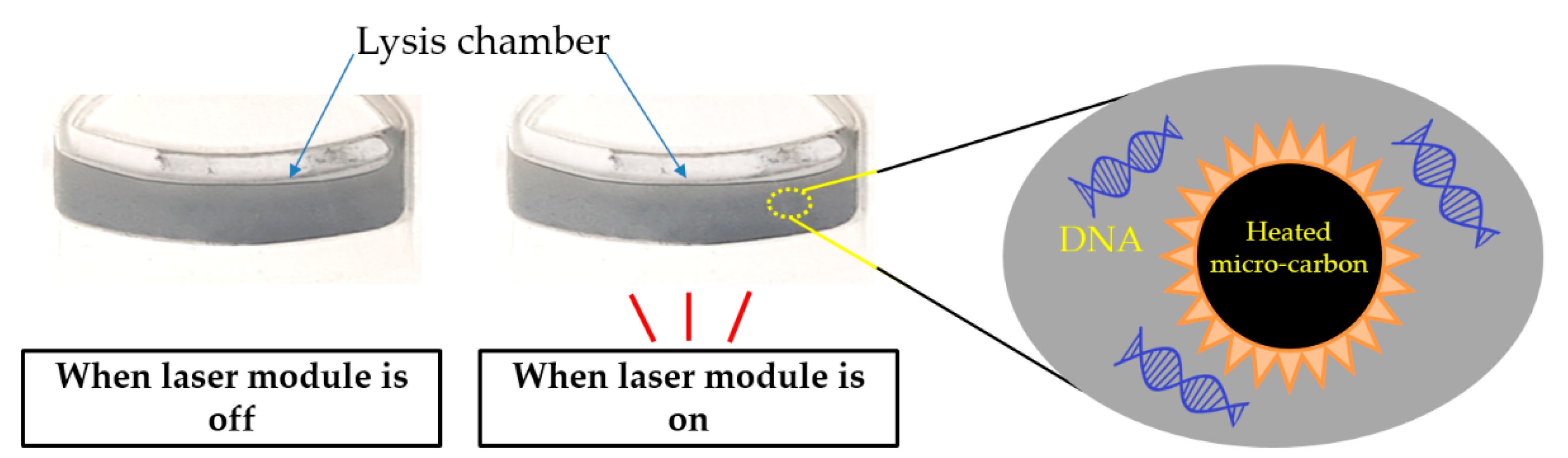 Sensors 20 04746 g006 Sensors 20 04746 g006